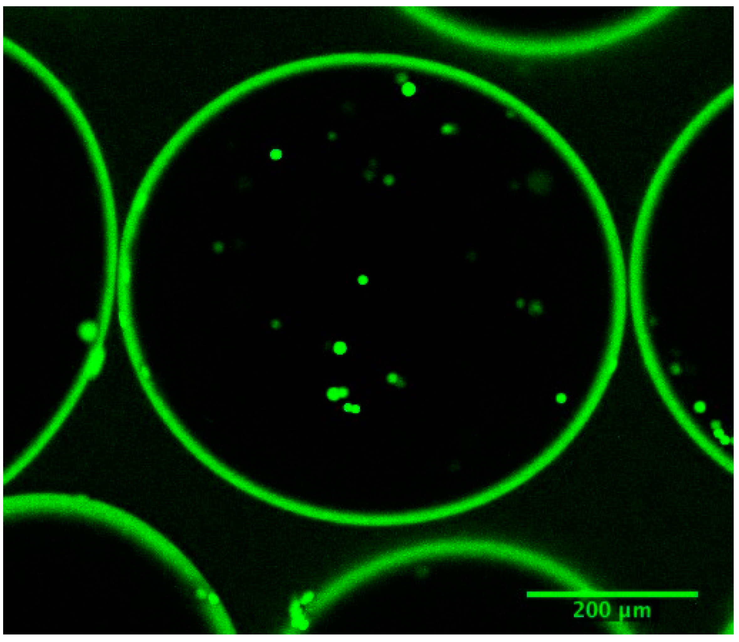 Processes 03 00384 g008