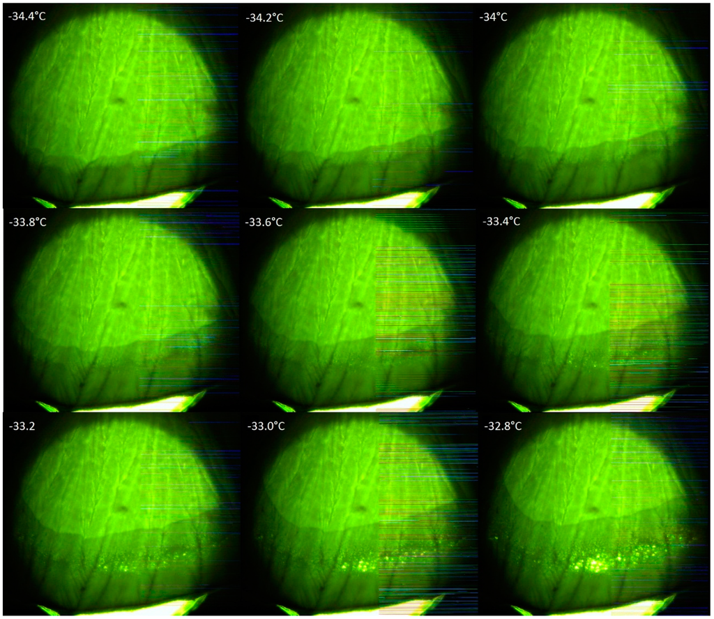 Processes 03 00406 g002 1024