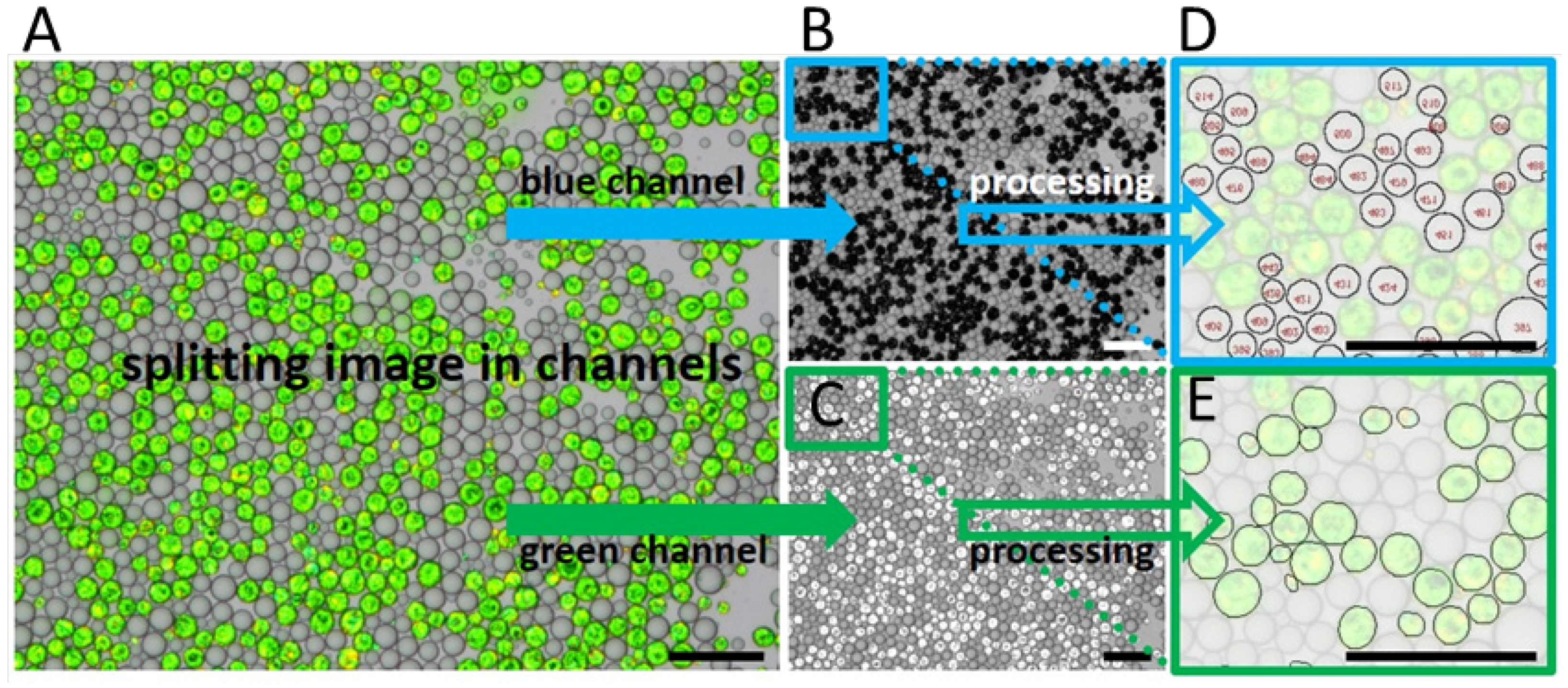 Processes 04 00025 g002
