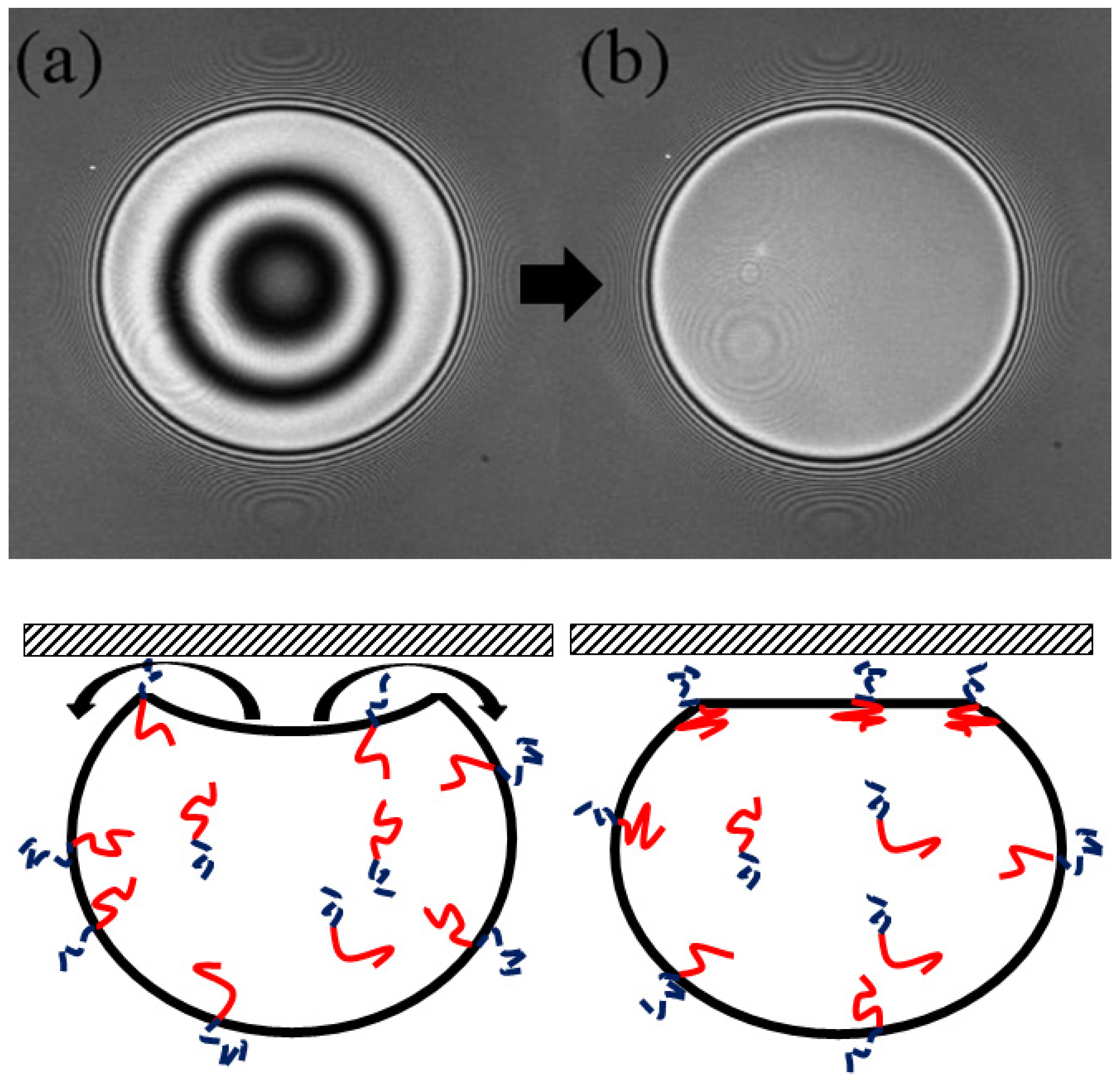Processes 04 00047 g001