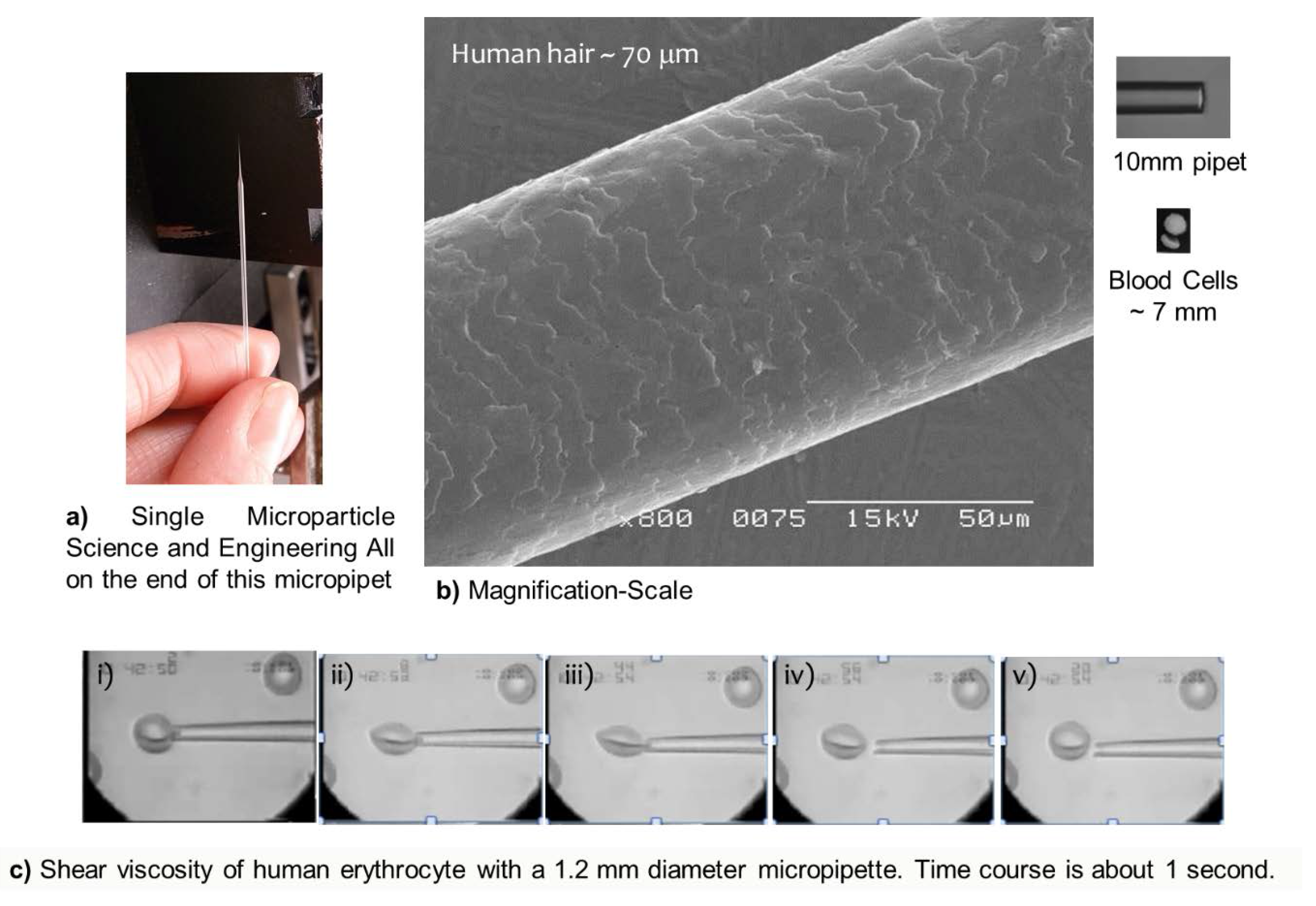 Processes 04 00049 g001