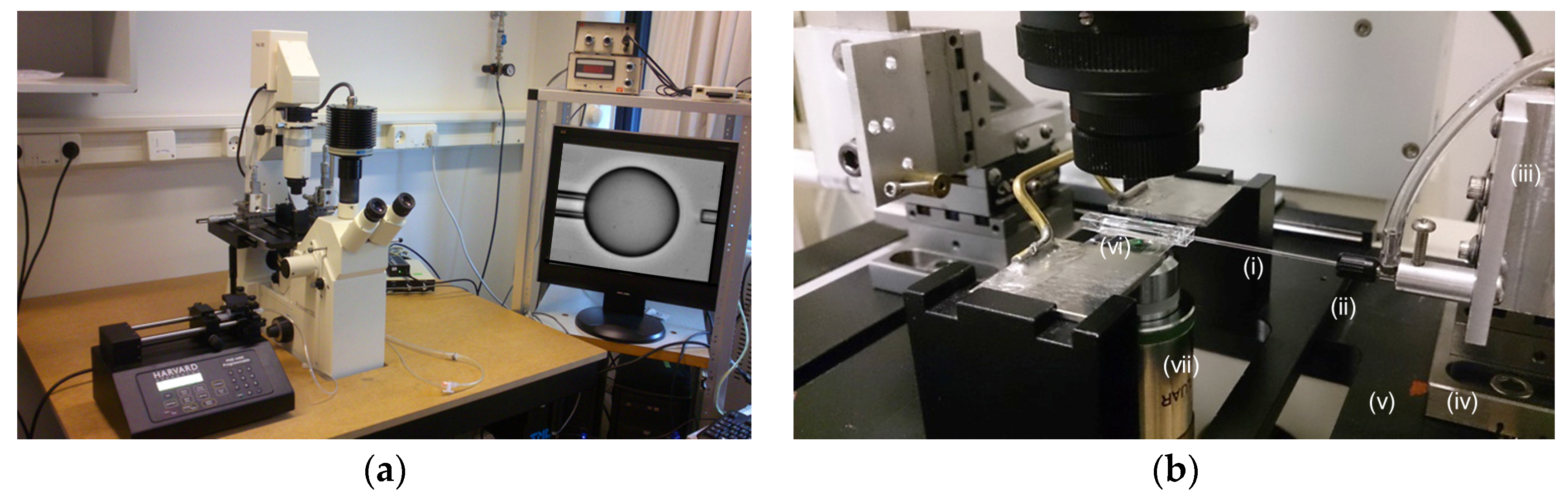 Processes 04 00049 g002