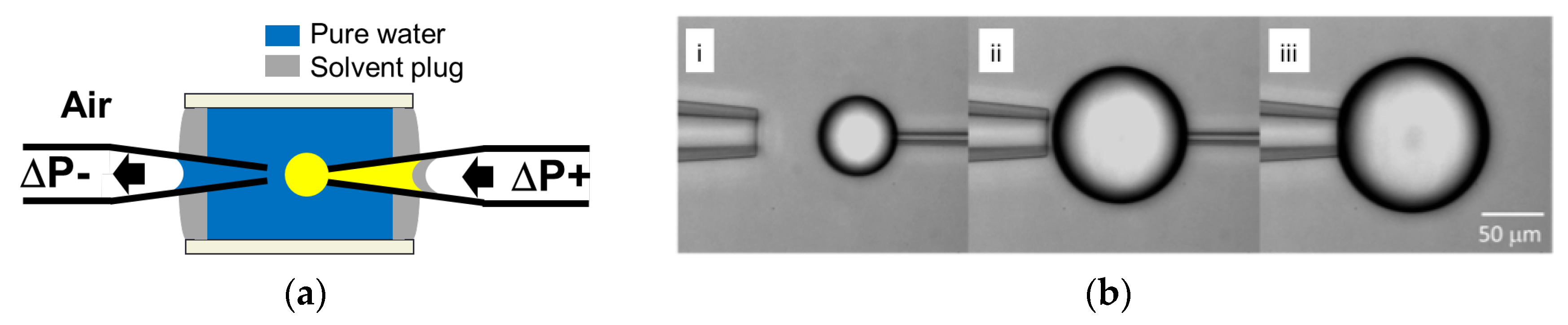 Processes 04 00049 g003
