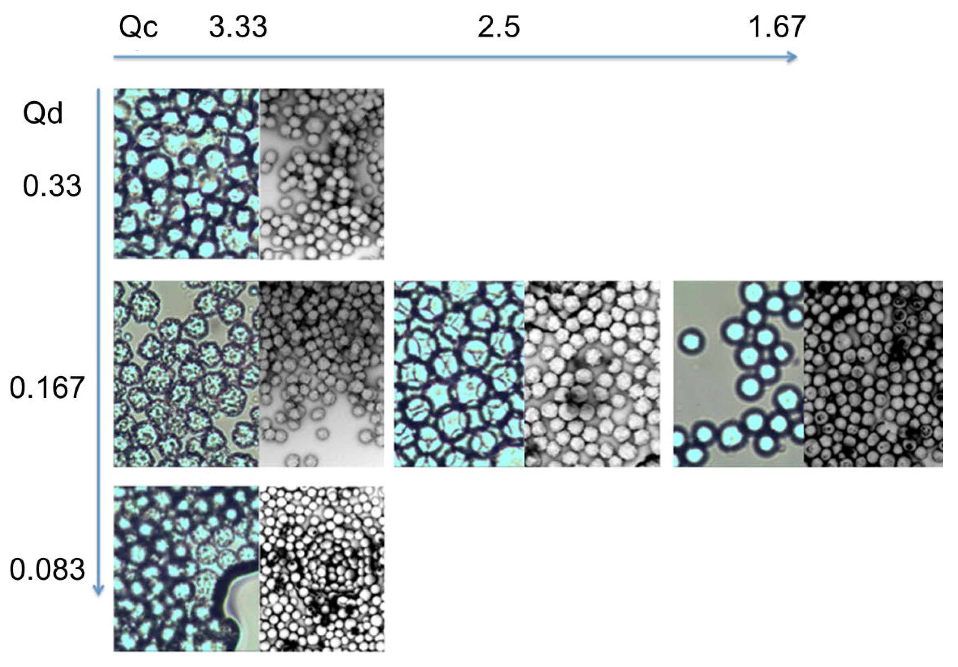 Processes 04 00049 g015