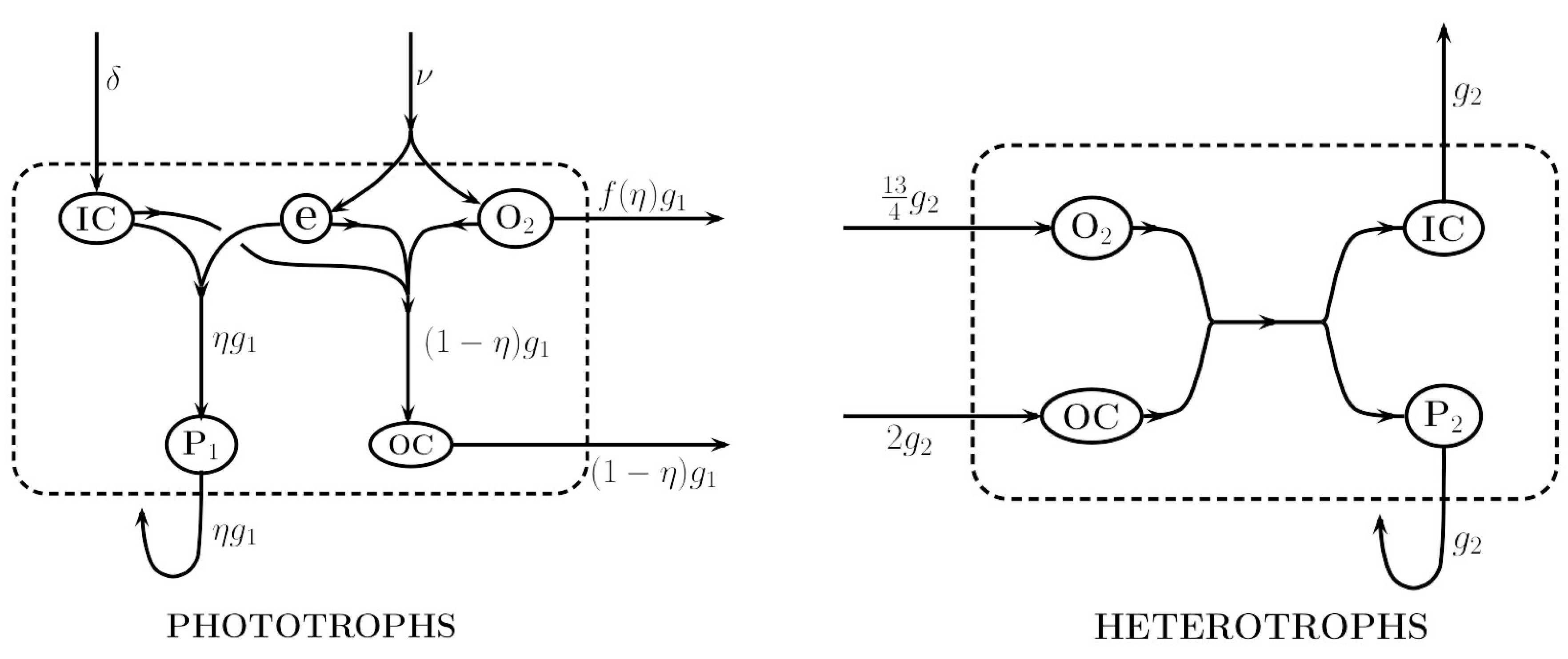 Processes 05 00011 g002