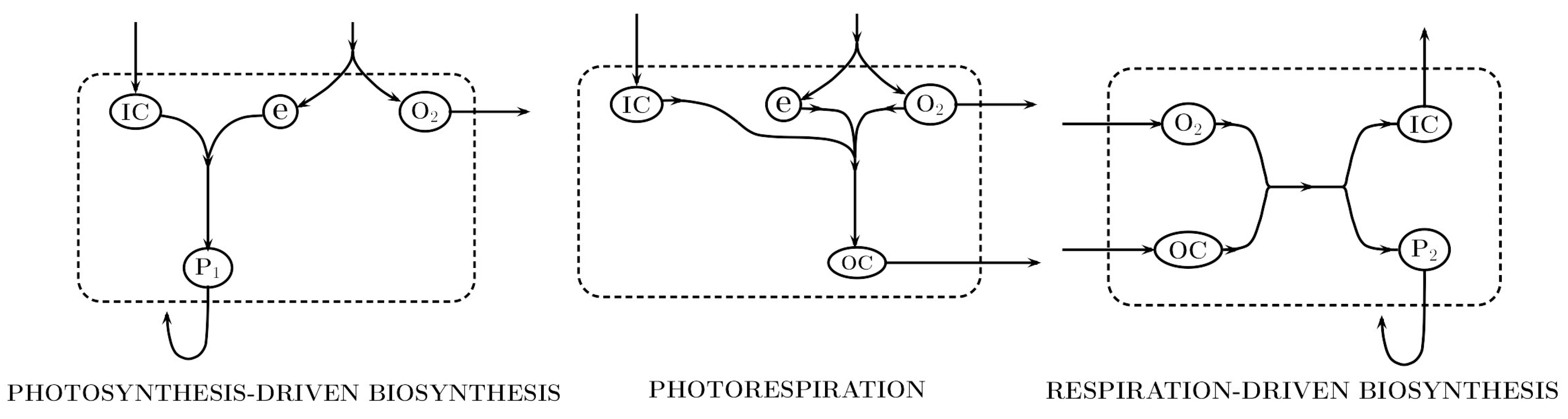Processes 05 00011 g003