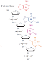 Processes 05 00024 i008