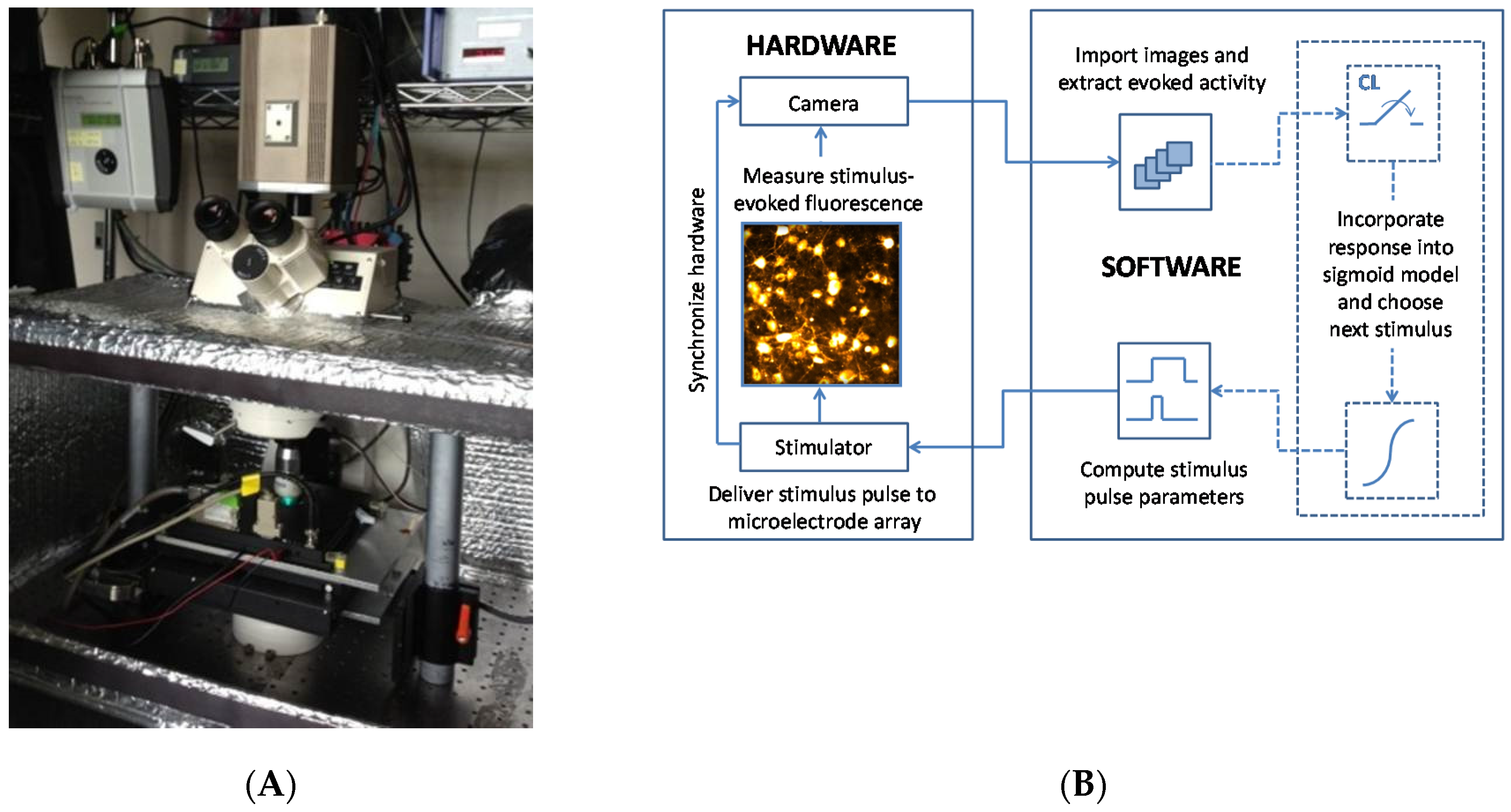 Processes 05 00030 g001