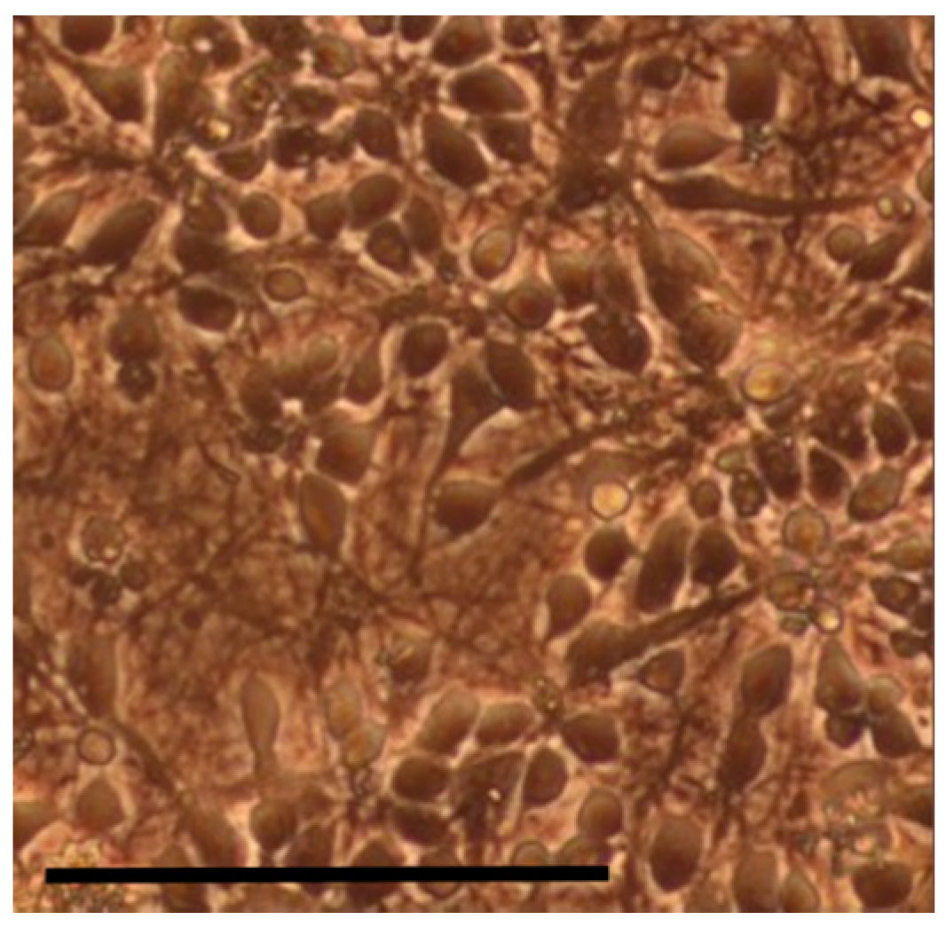 Processes 05 00030 g002