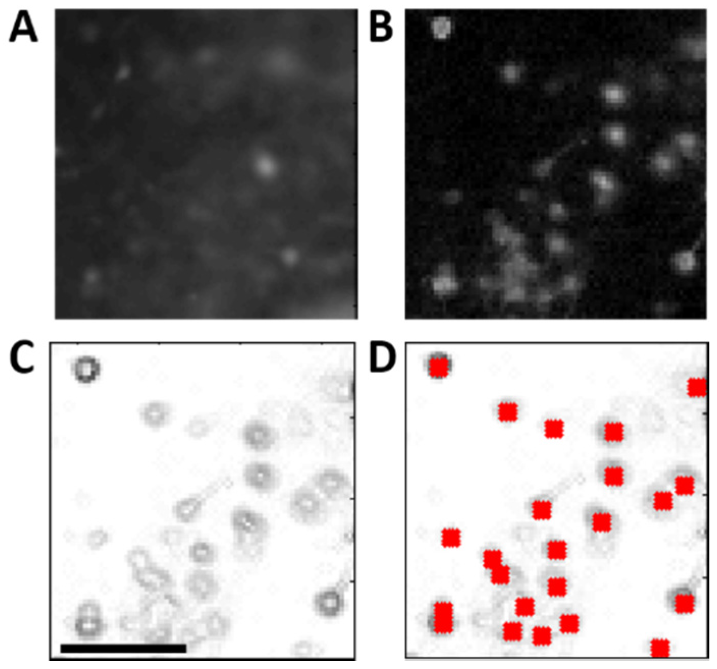 Processes 05 00030 g005