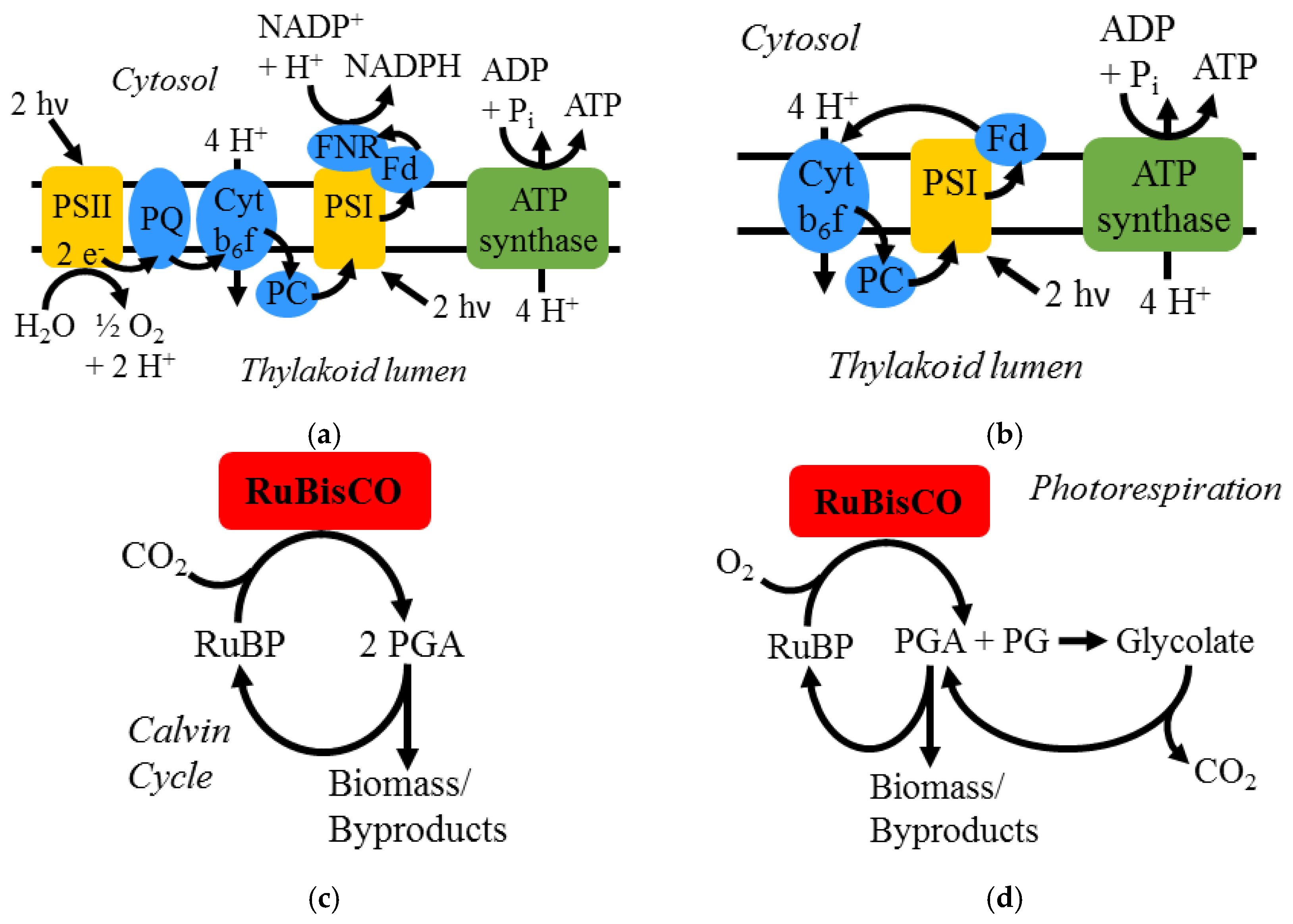 Processes 05 00032 g001