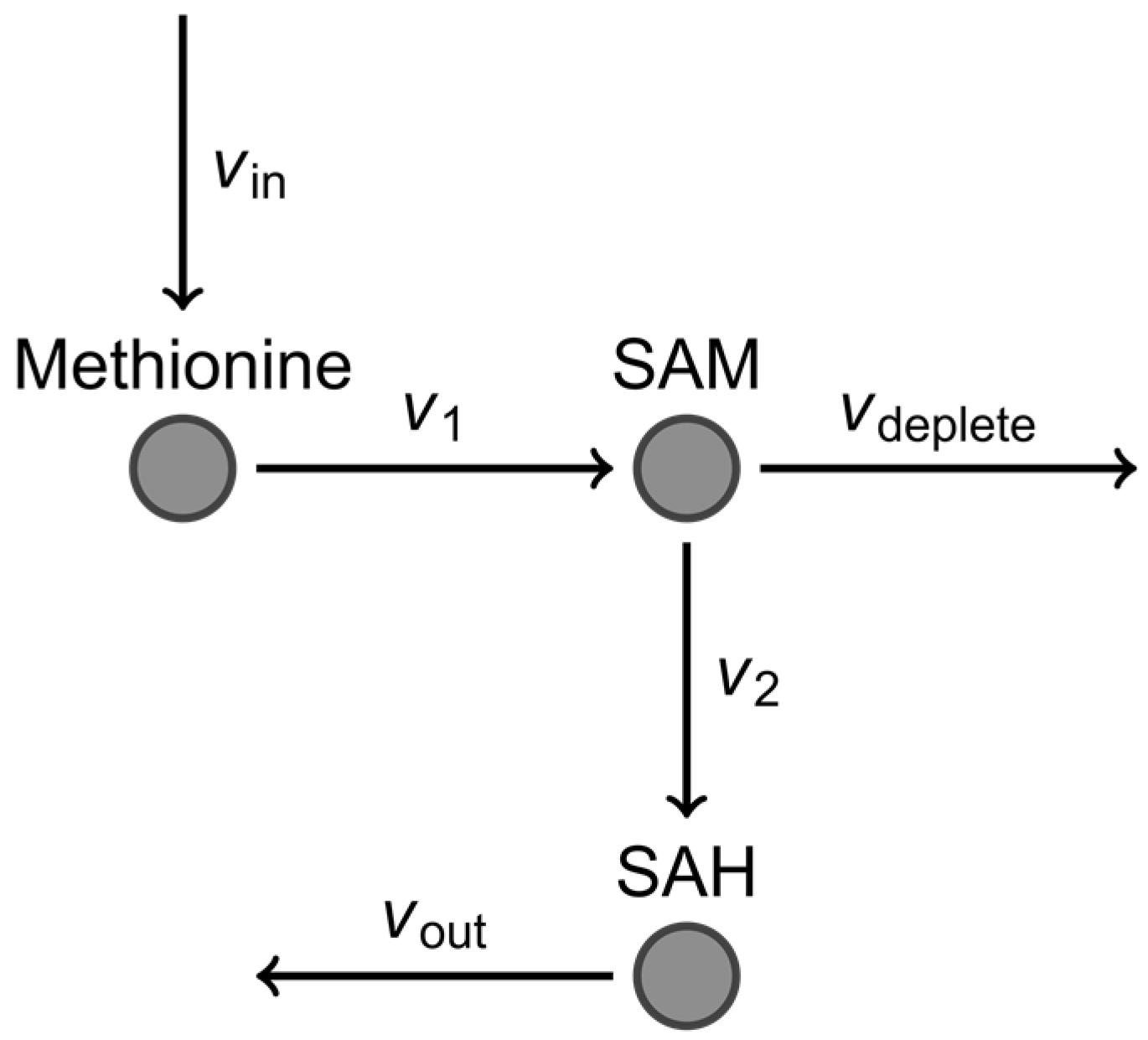 Processes 05 00036 g003