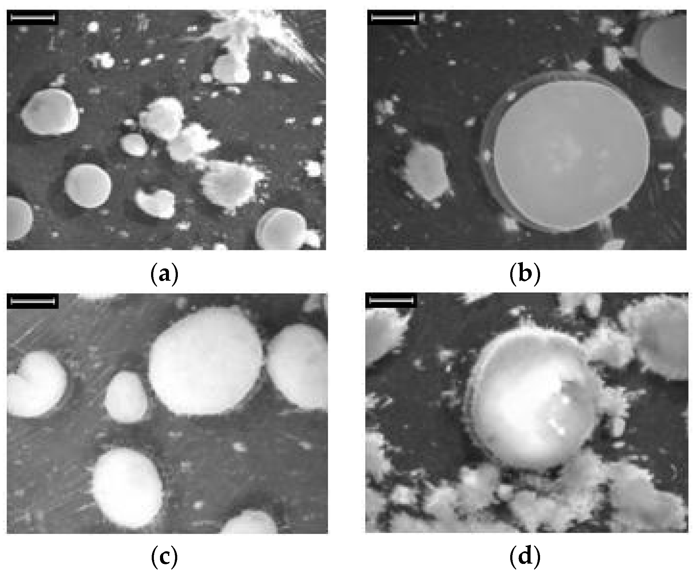 Processes 05 00041 g001