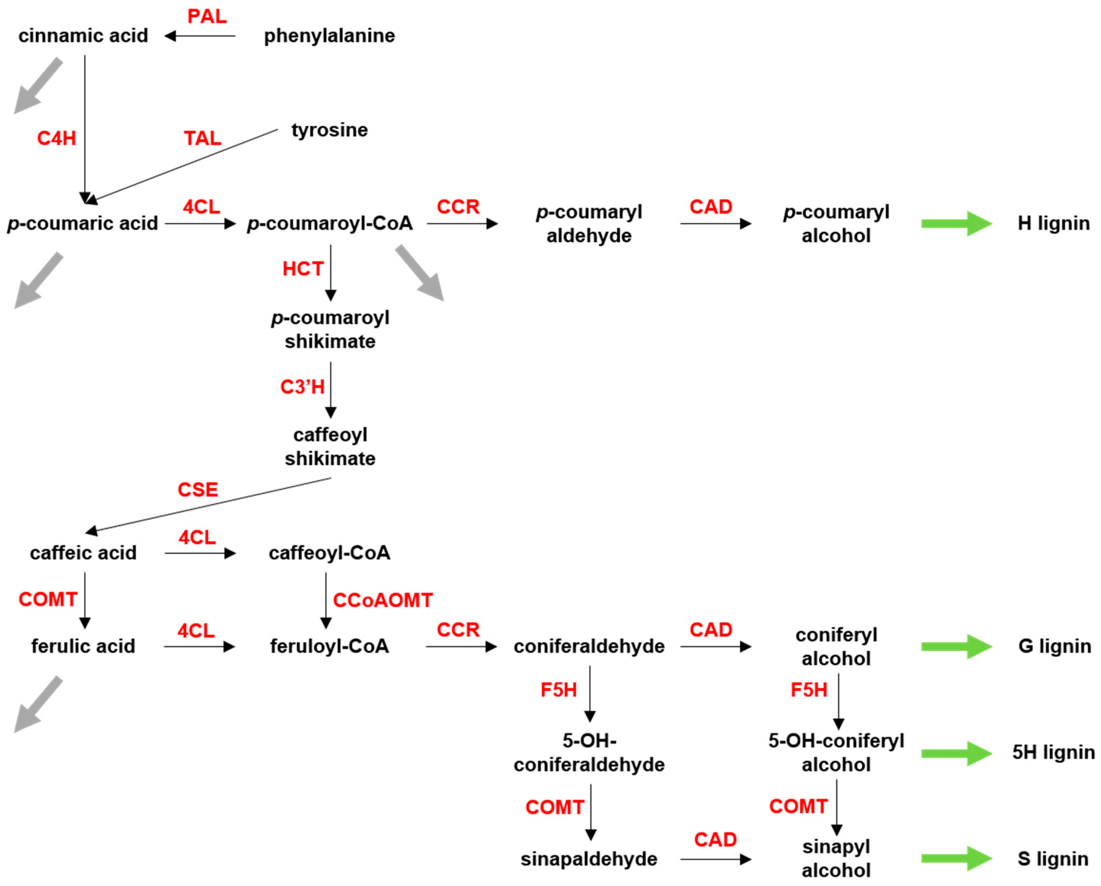 Processes 05 00061 g001