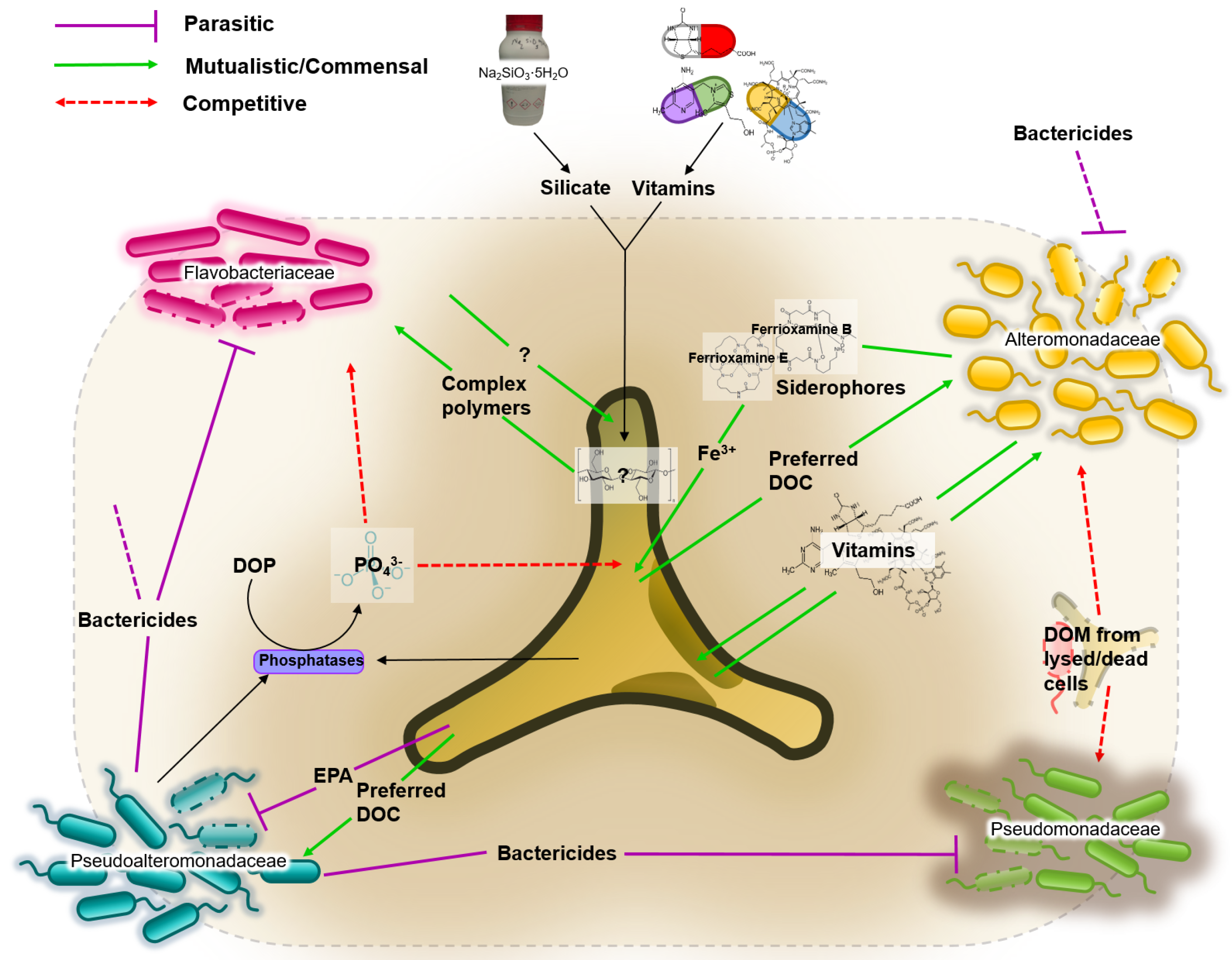 Processes 05 00077 g003