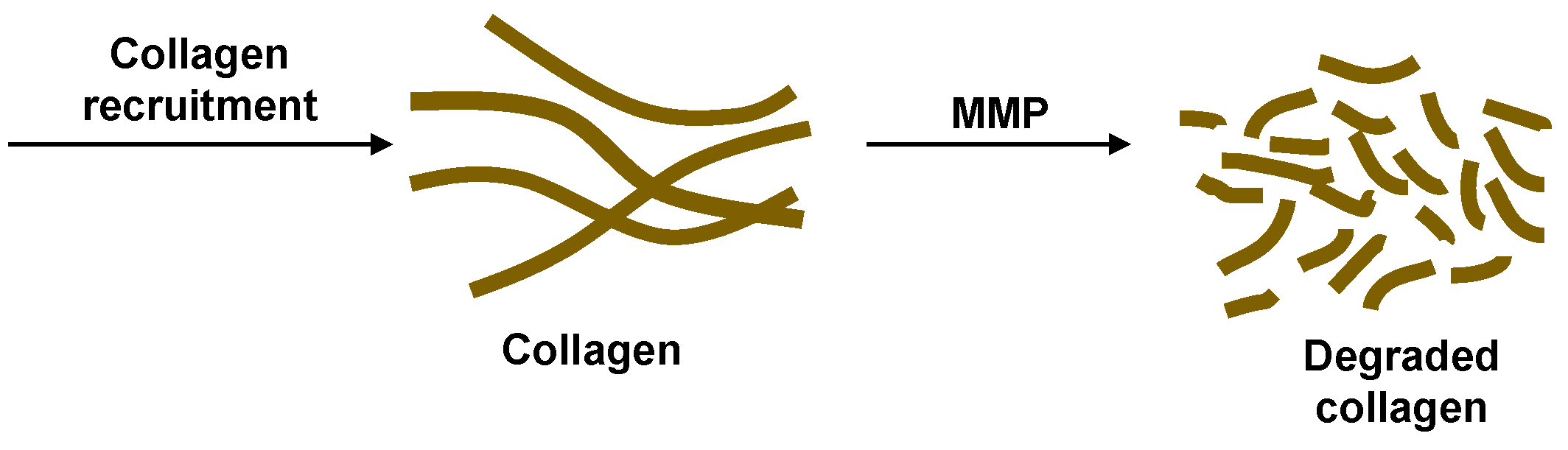 Processes 05 00079 g003