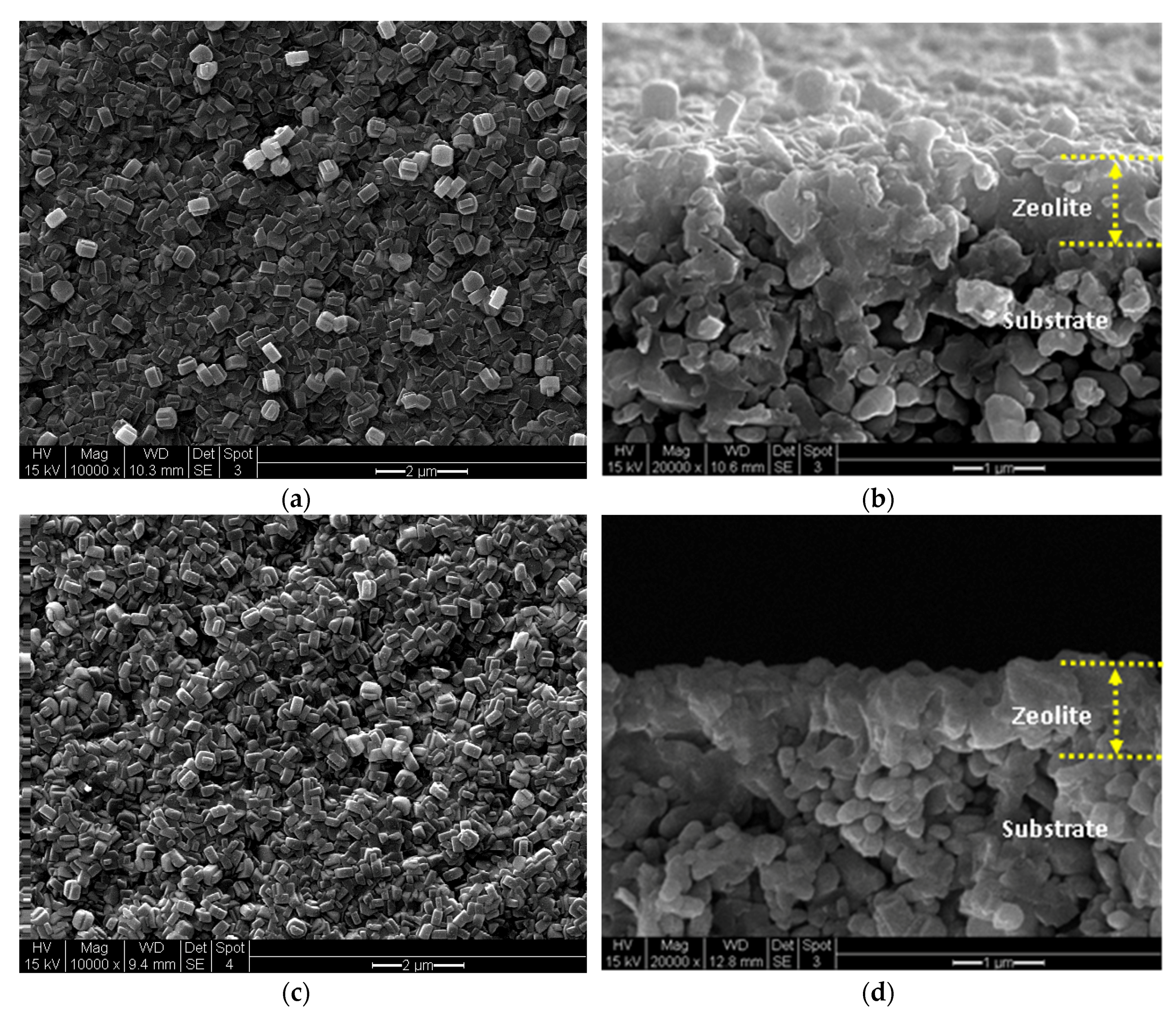 Processes 06 00013 g004