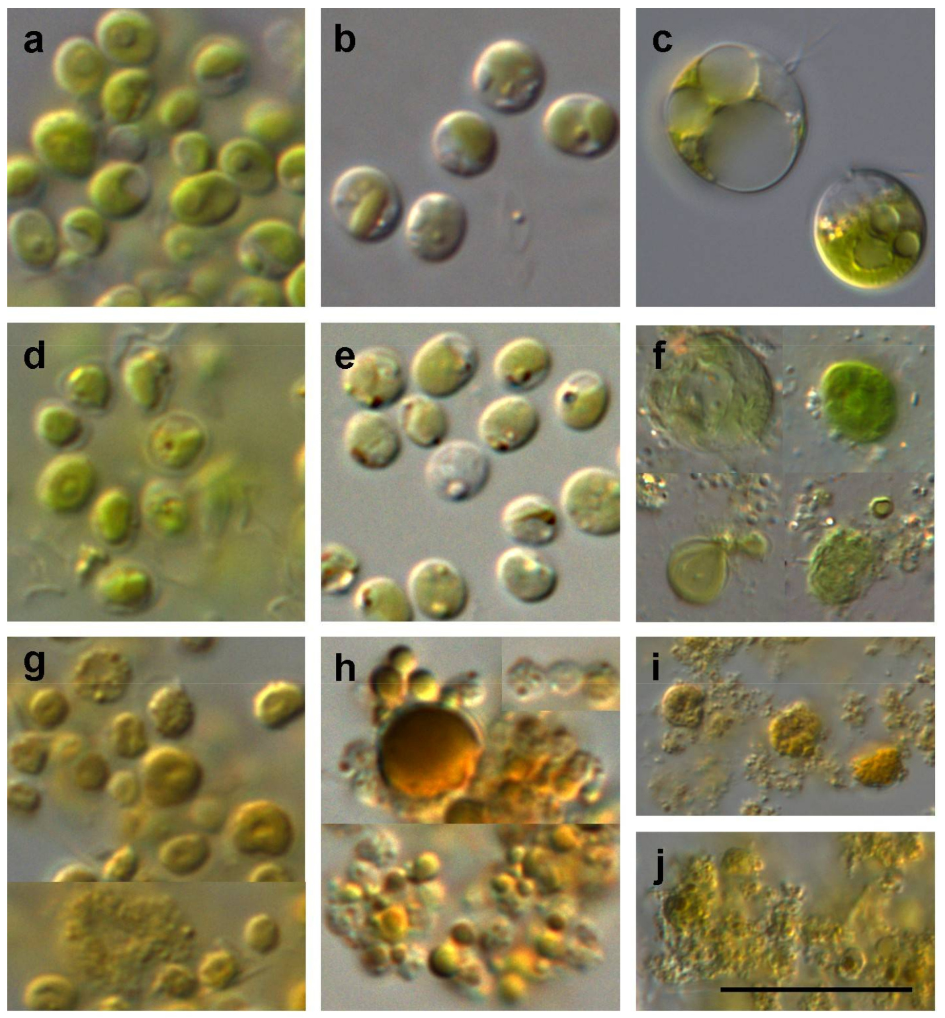 Processes 06 00028 g001