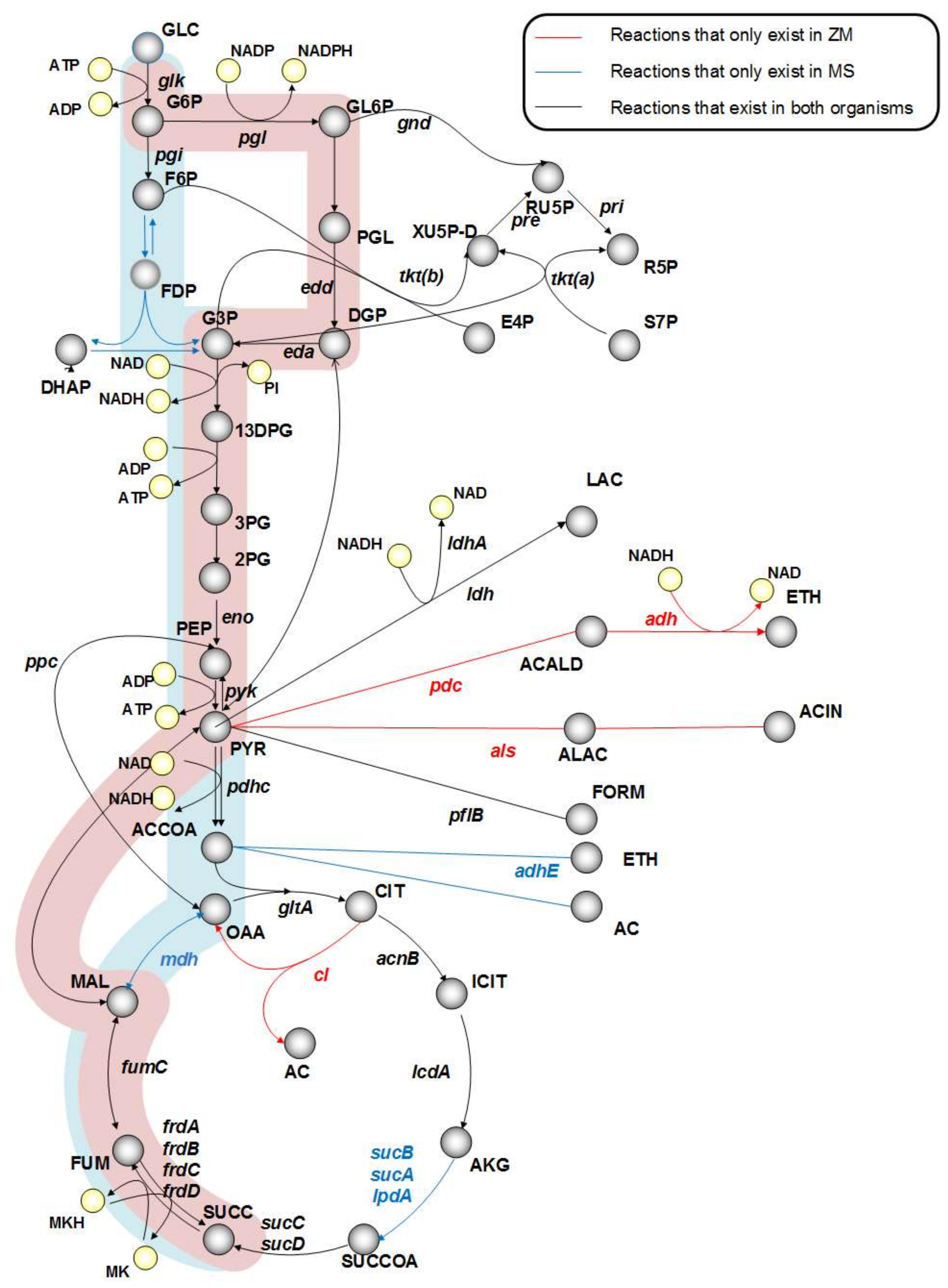 Processes 06 00030 g001