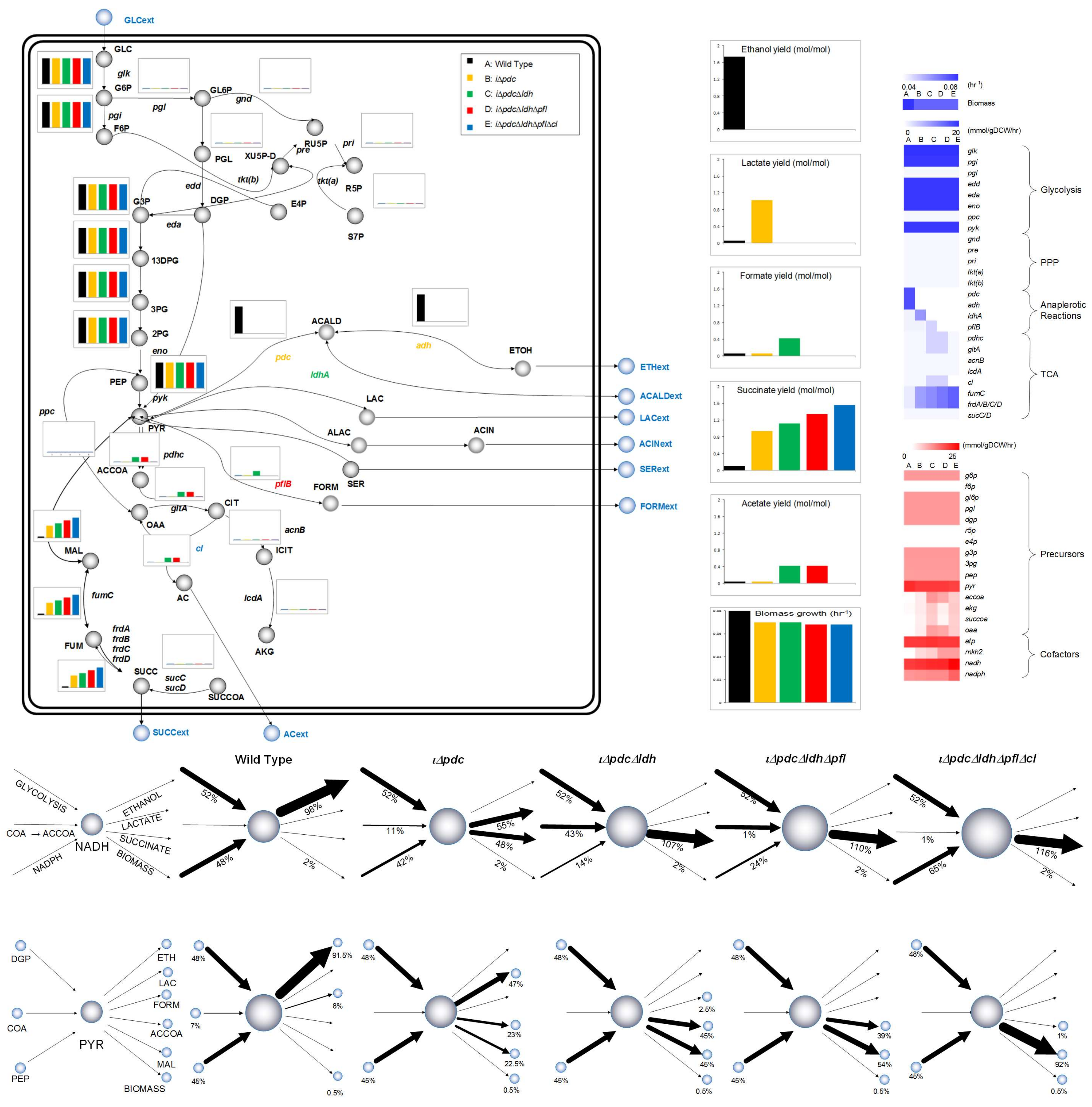 Processes 06 00030 g003