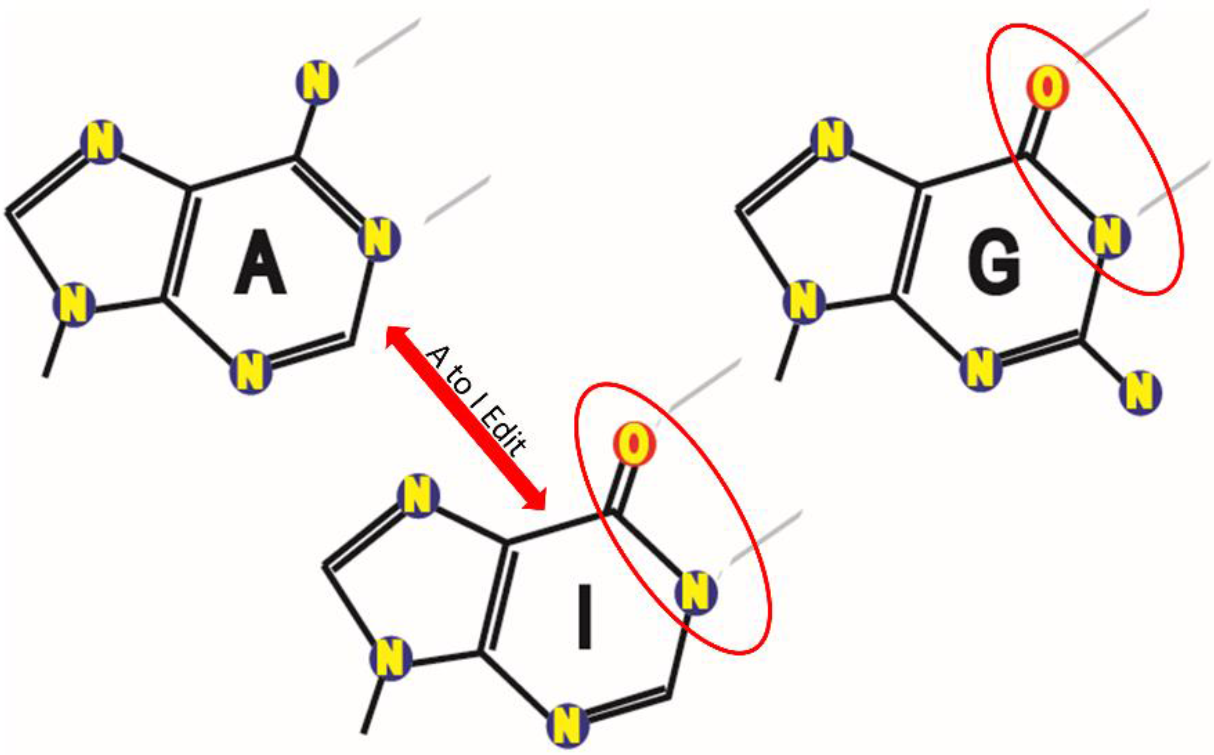 Processes 06 00042 g001