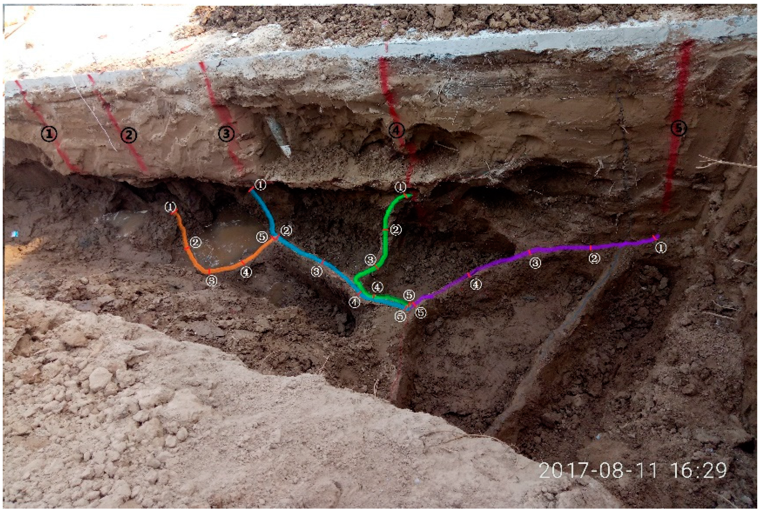 Processes 06 00075 g015