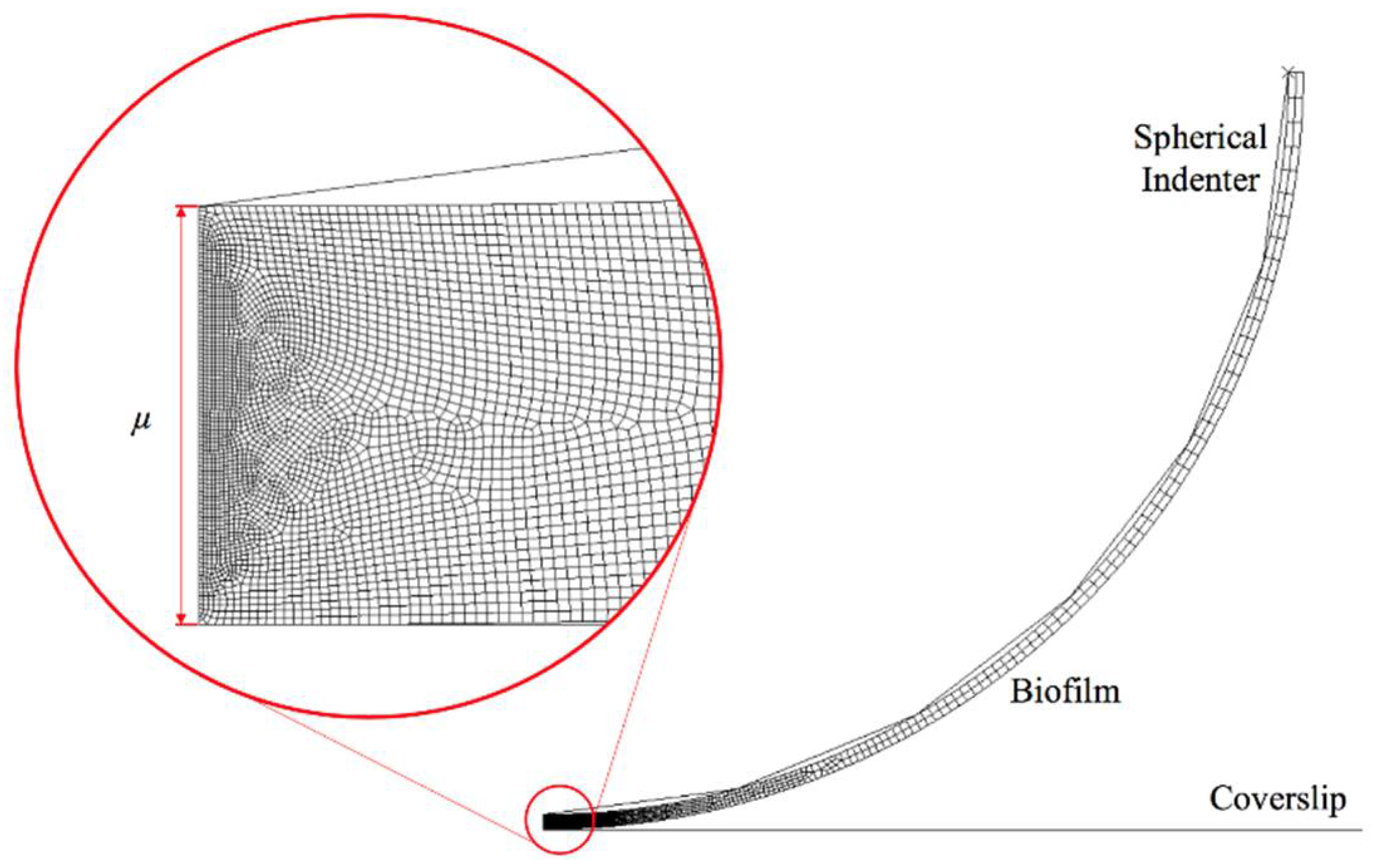 Processes 06 00084 g001