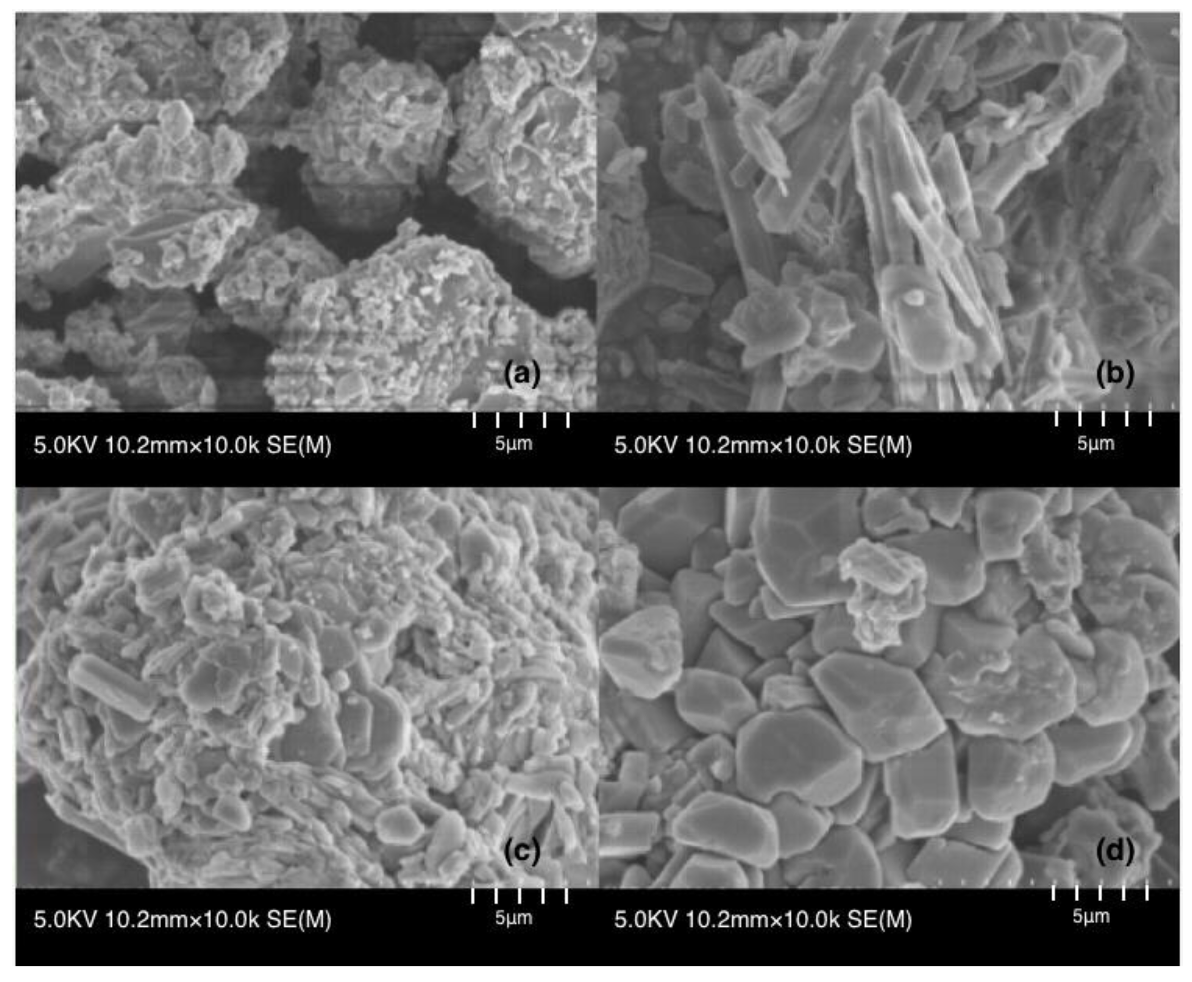 Processes 06 00095 g010