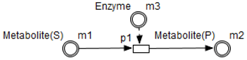 Processes 06 00097 i006 Processes 06 00097 i006