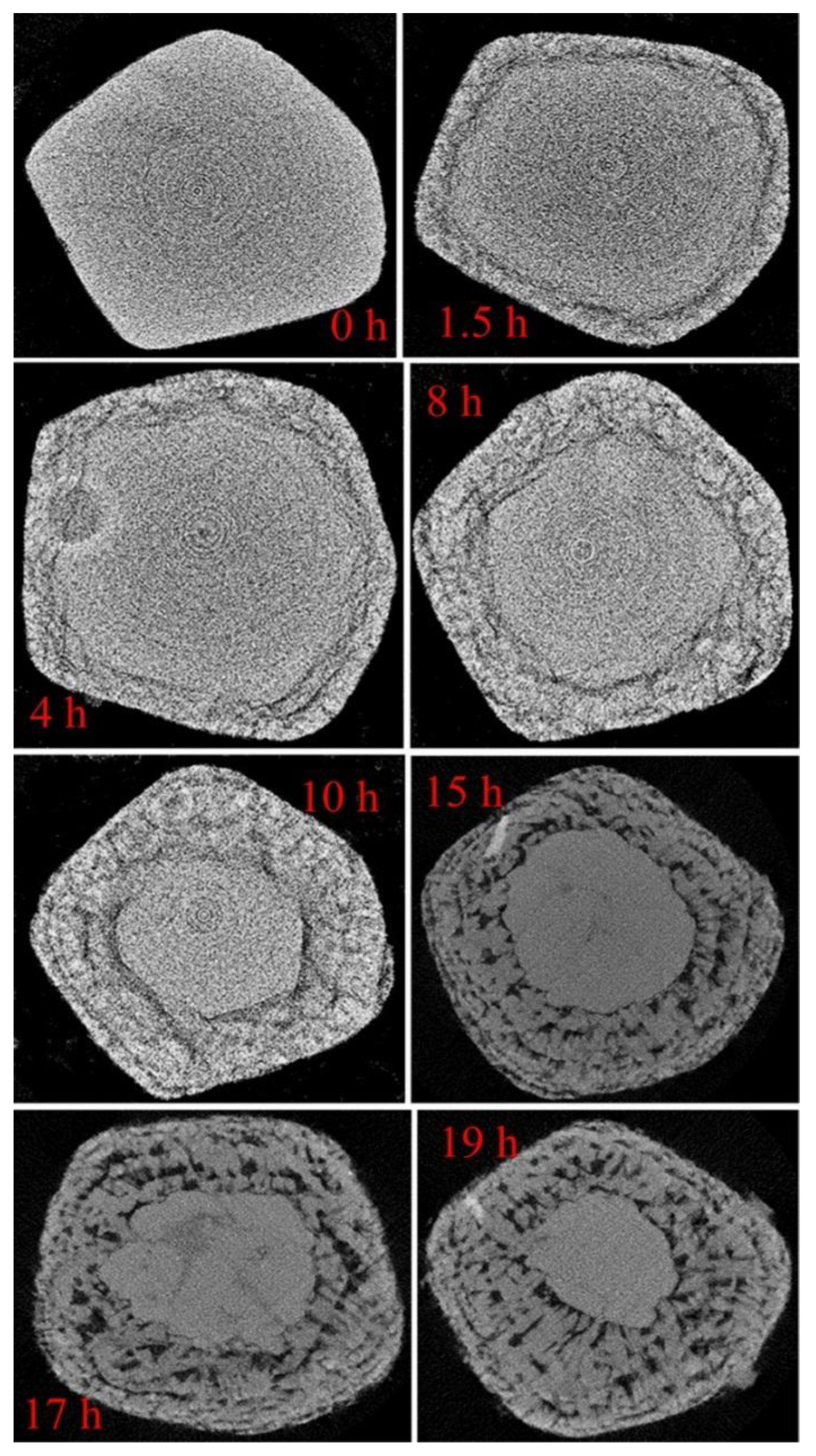 Processes 06 00099 g012