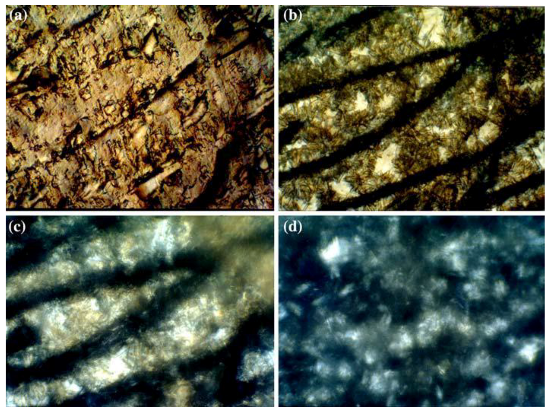 Processes 06 00099 g014