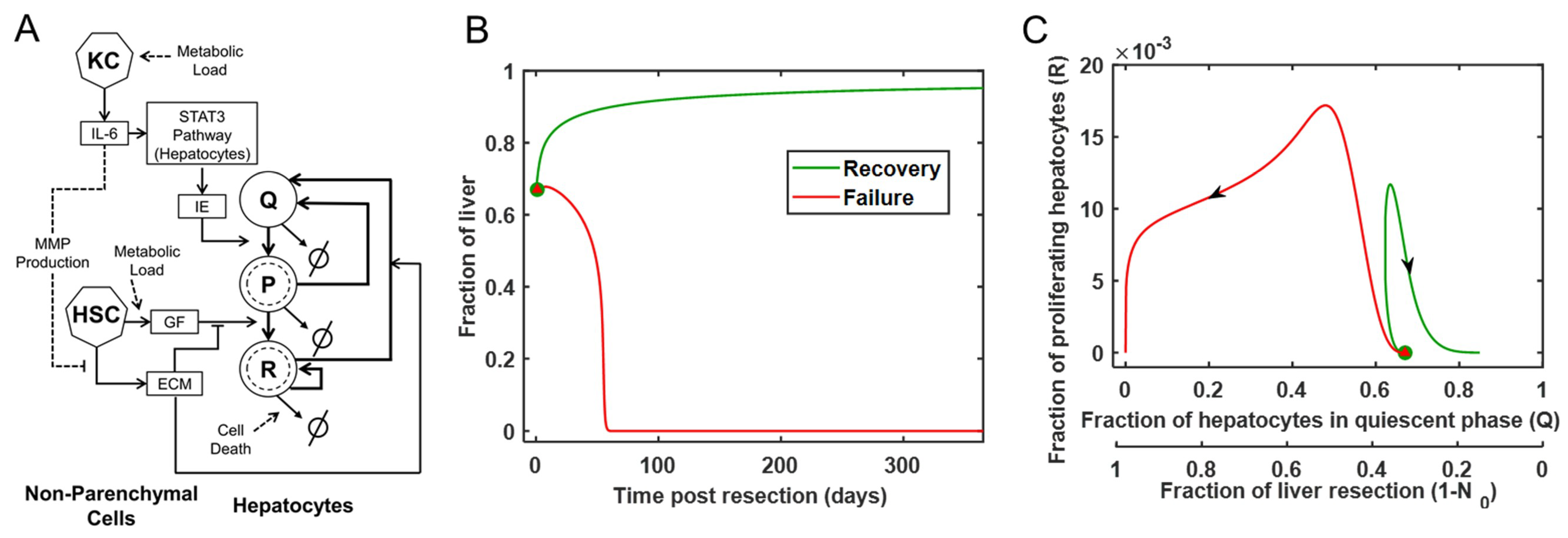 Processes 06 00115 g001