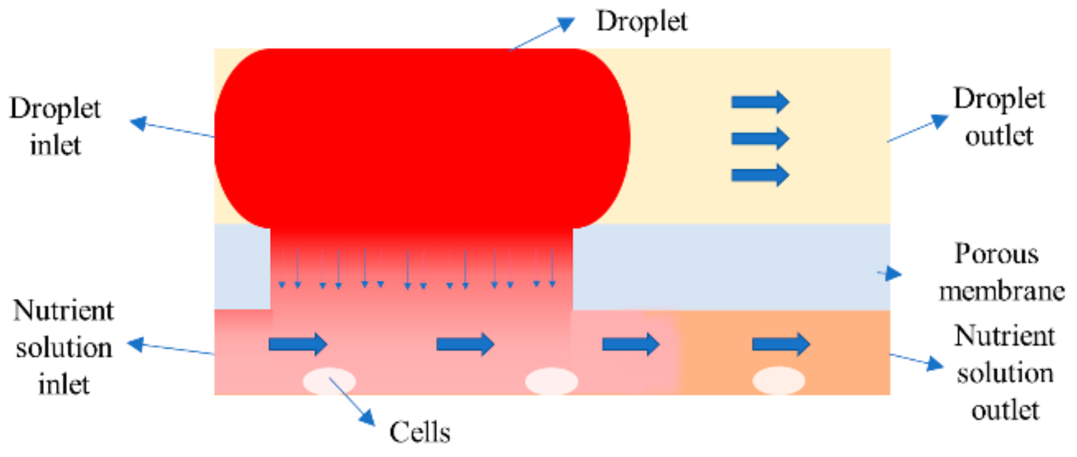 Processes 06 00119 g003