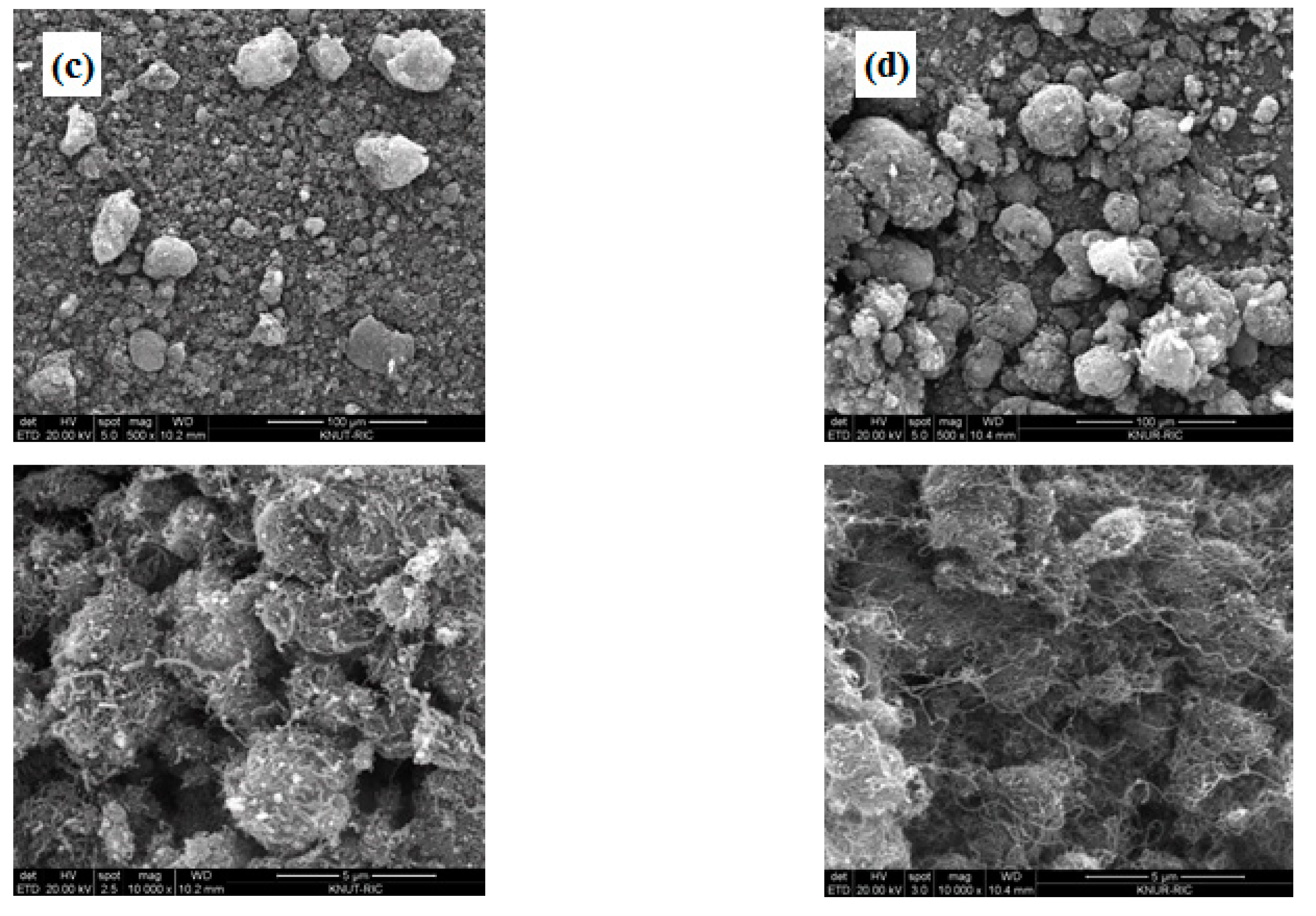 Processes 06 00121 g001b
