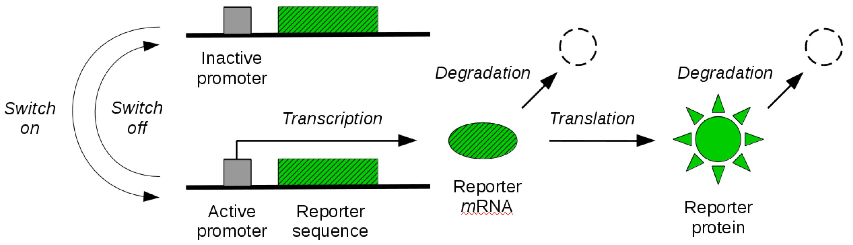 Processes 06 00136 g001