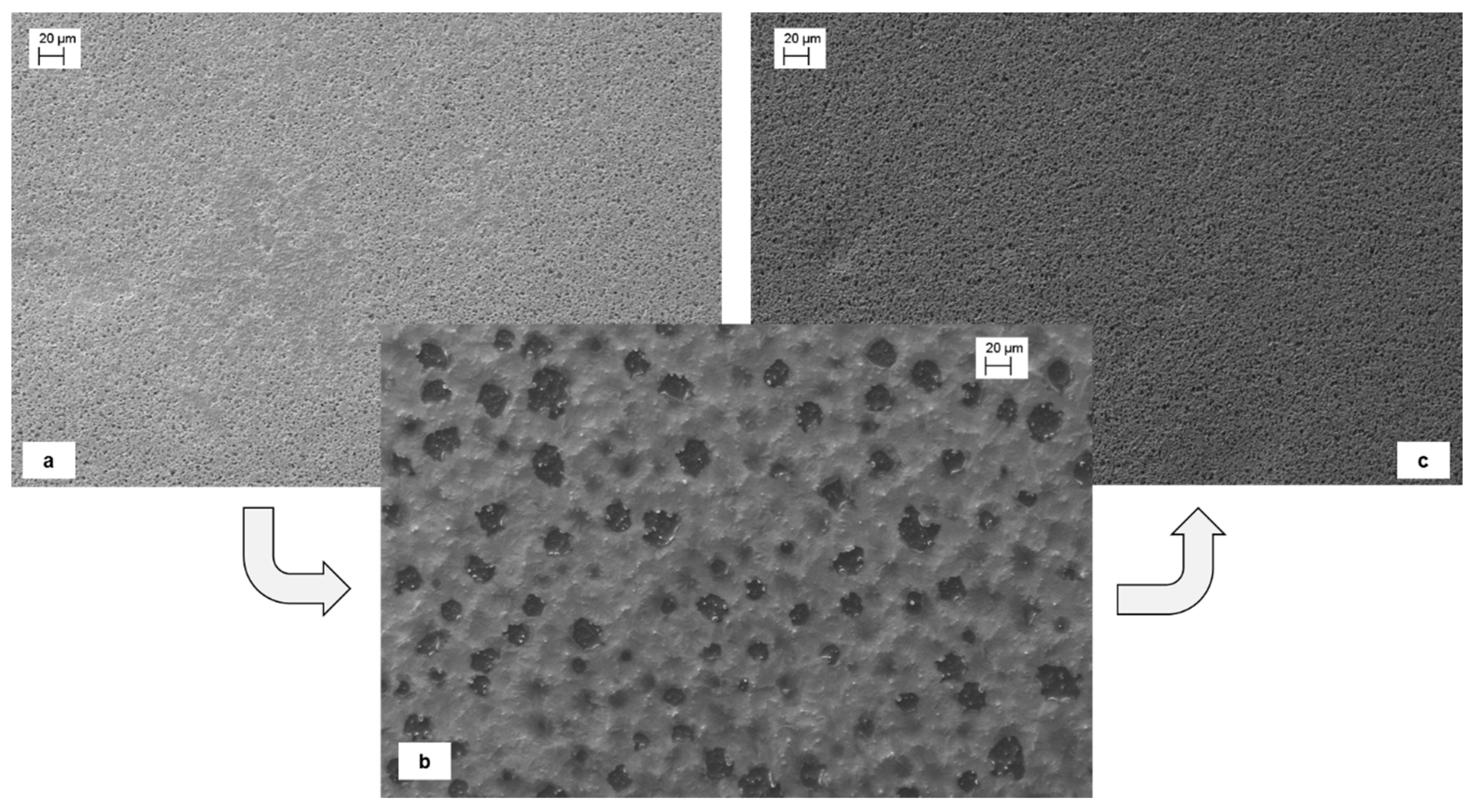 Processes 06 00143 g011