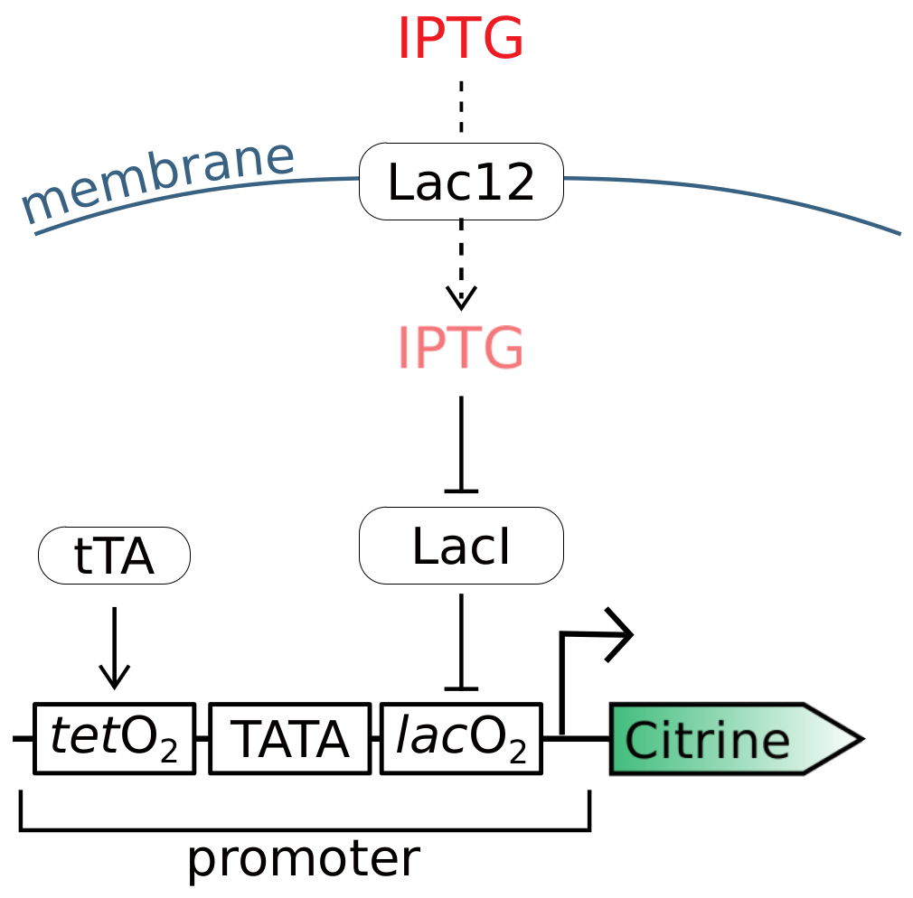 Processes 06 00148 g001