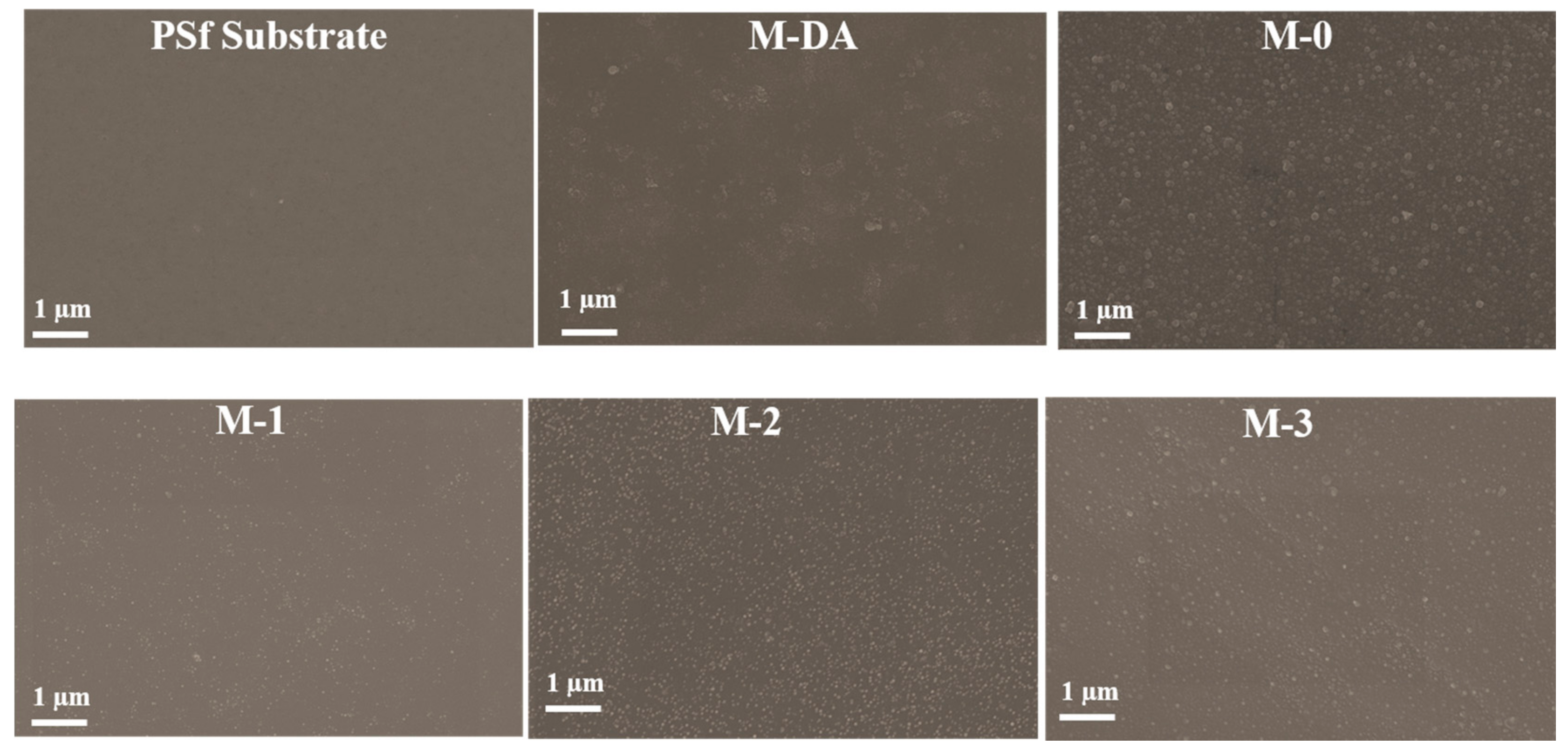 Processes 06 00151 g002
