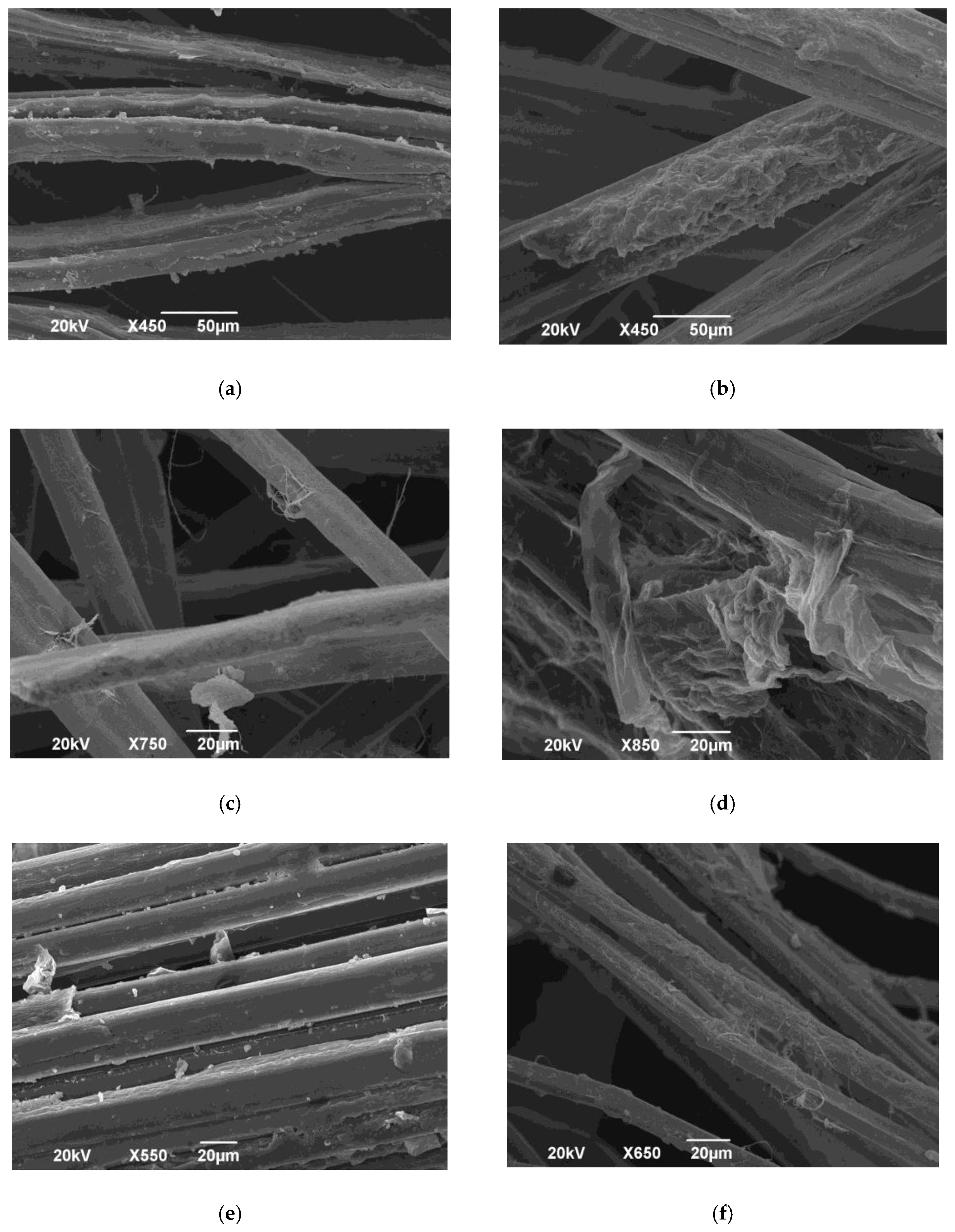 Processes 06 00166 g001 Processes 06 00166 g001