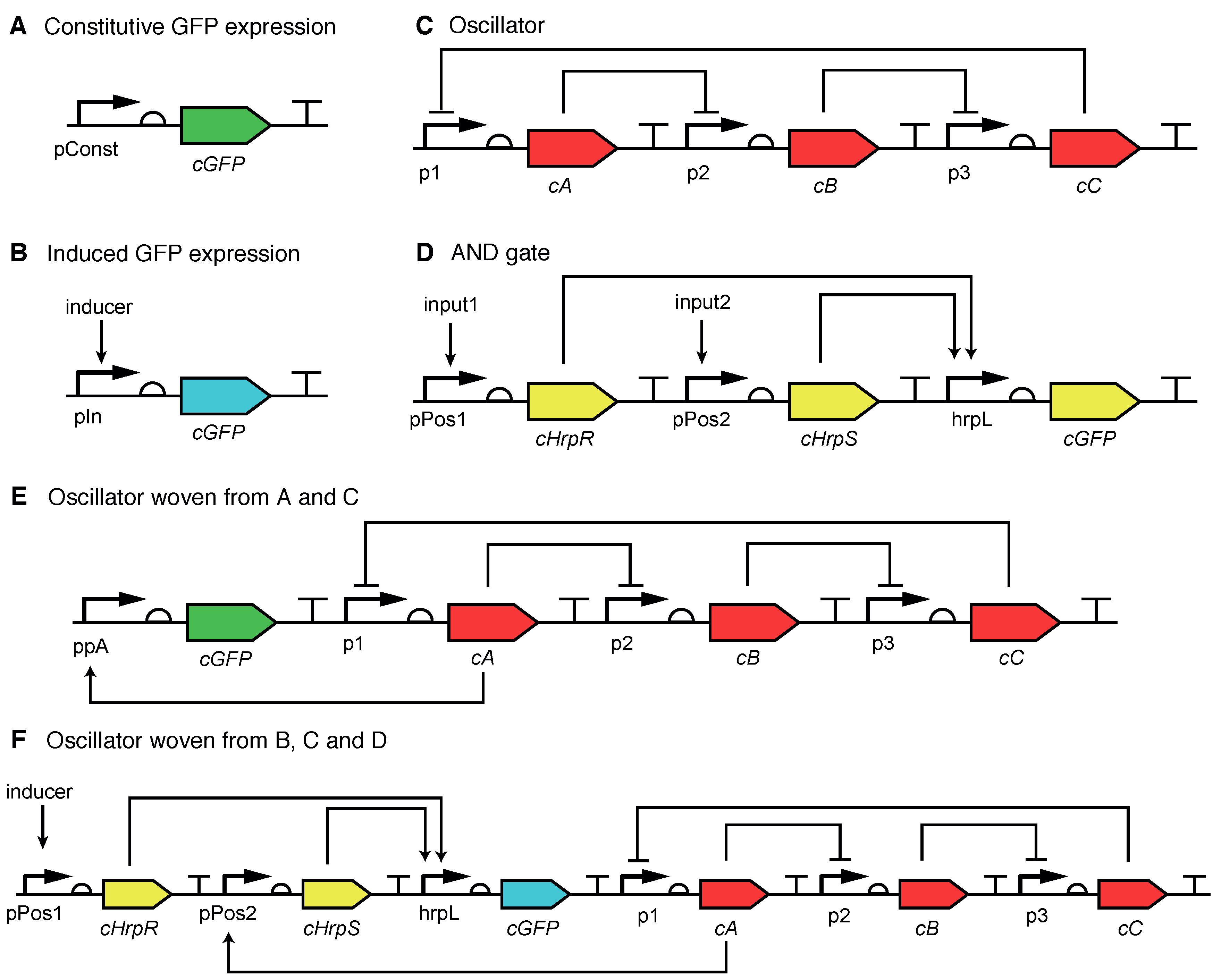 Processes 06 00167 g007