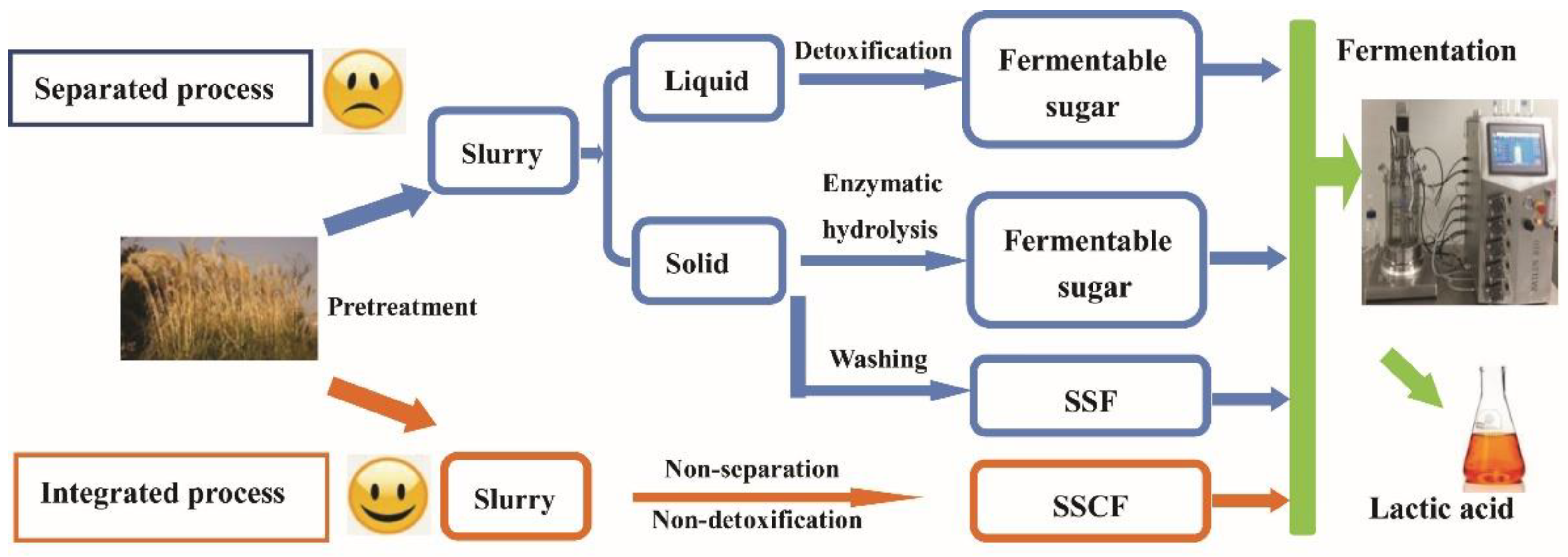 Processes 06 00175 g005