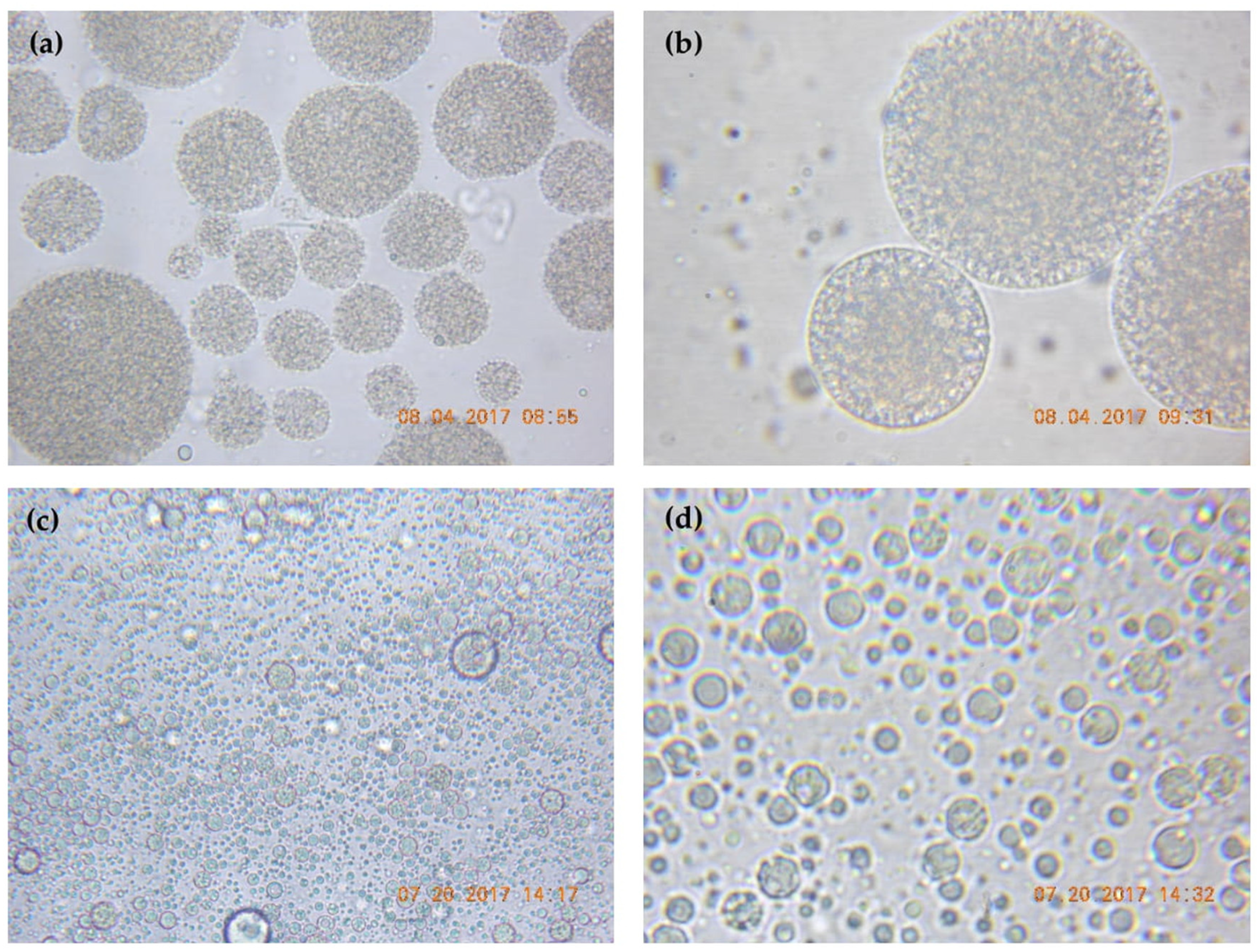 Processes 06 00189 g004