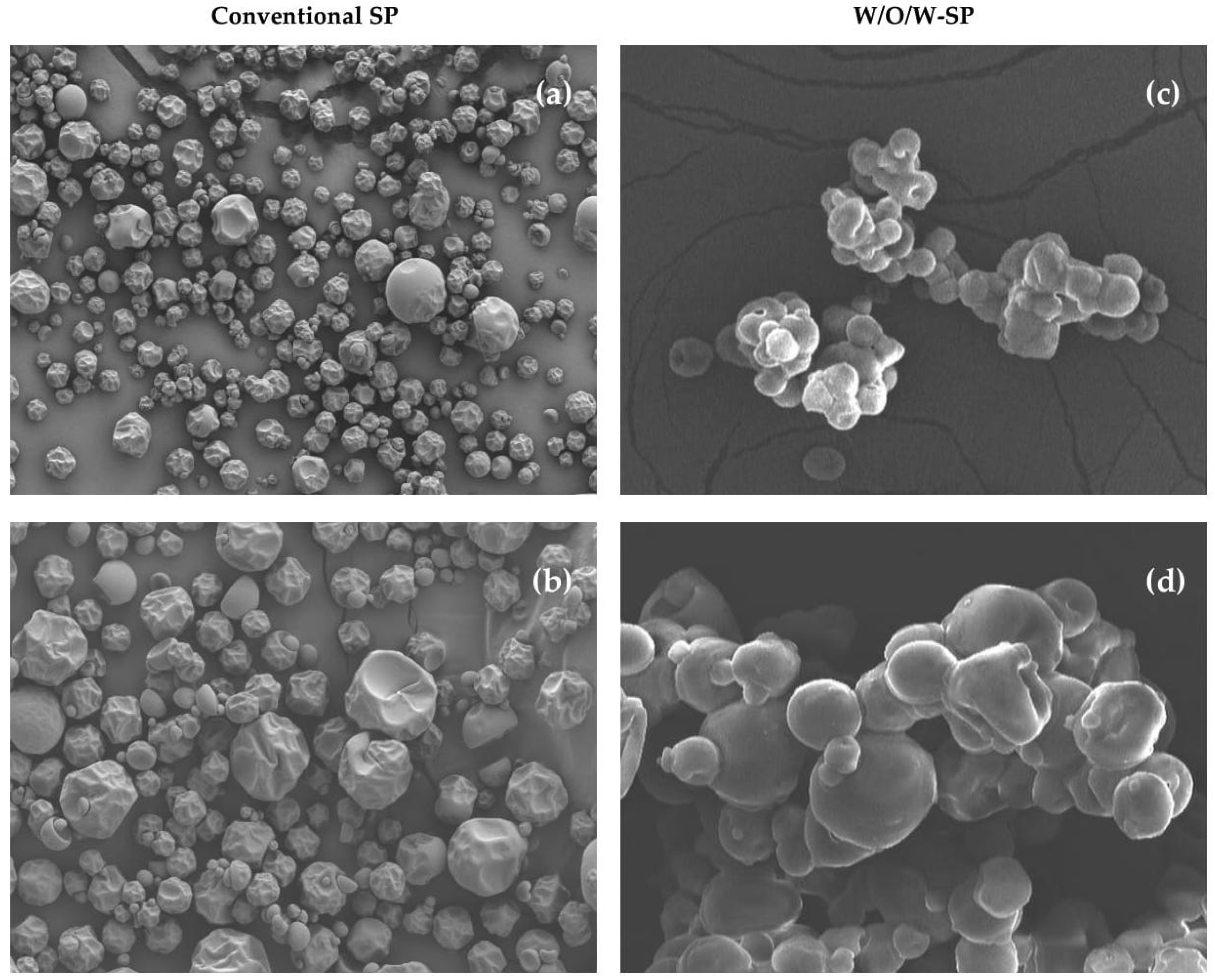 Processes 06 00189 g006
