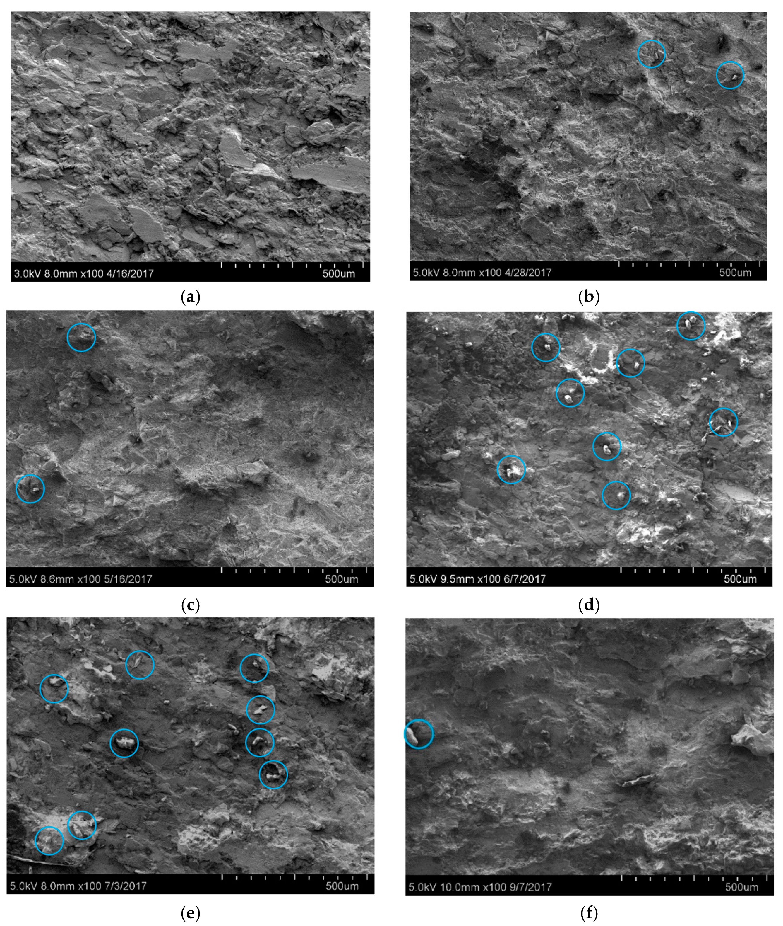 Processes 06 00199 g010 Processes 06 00199 g010