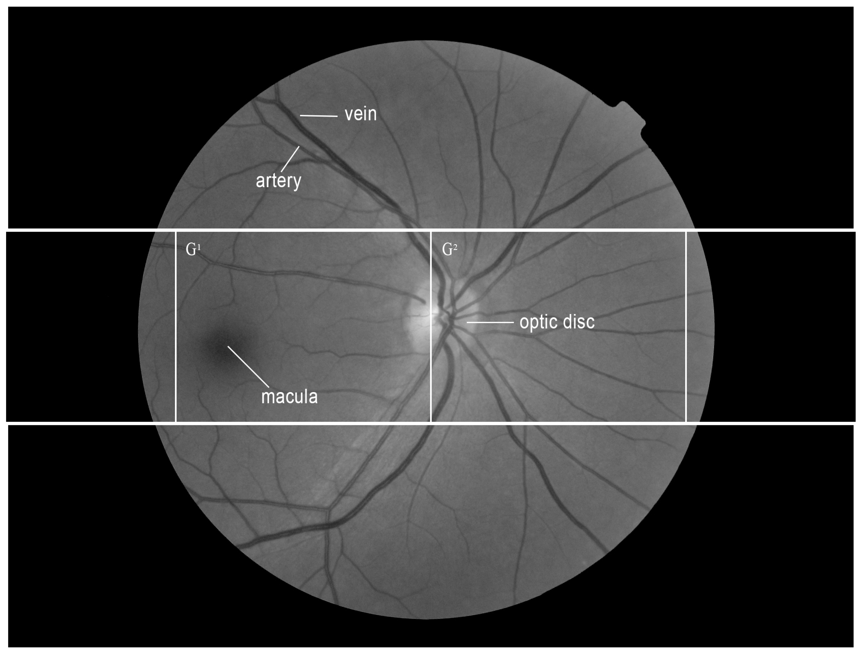 Processes 06 00254 g003