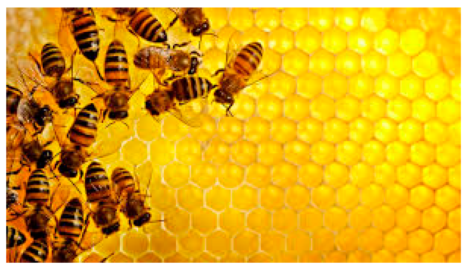 Processes 07 00004 g003