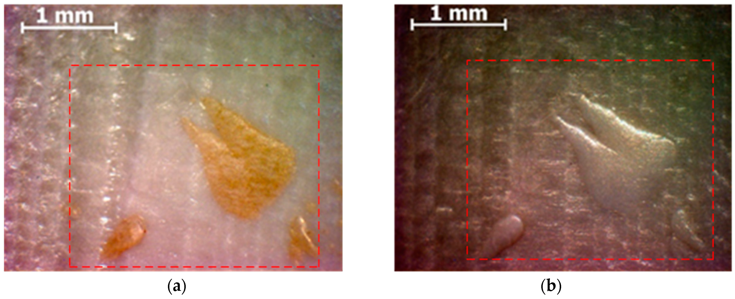 Processes 07 00017 g007 Processes 07 00017 g007