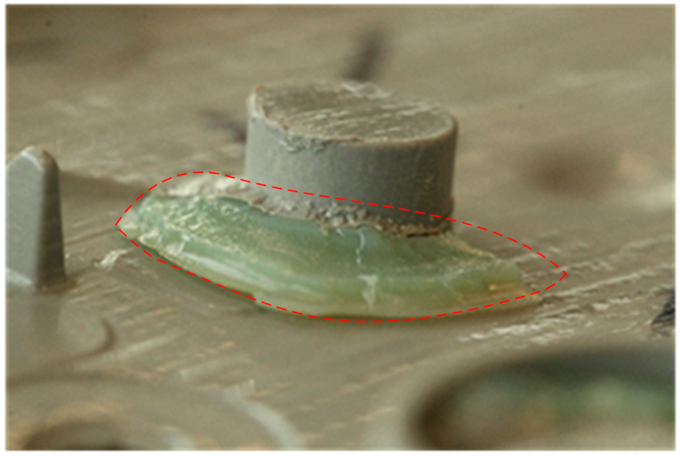 Processes 07 00017 g009 Processes 07 00017 g009