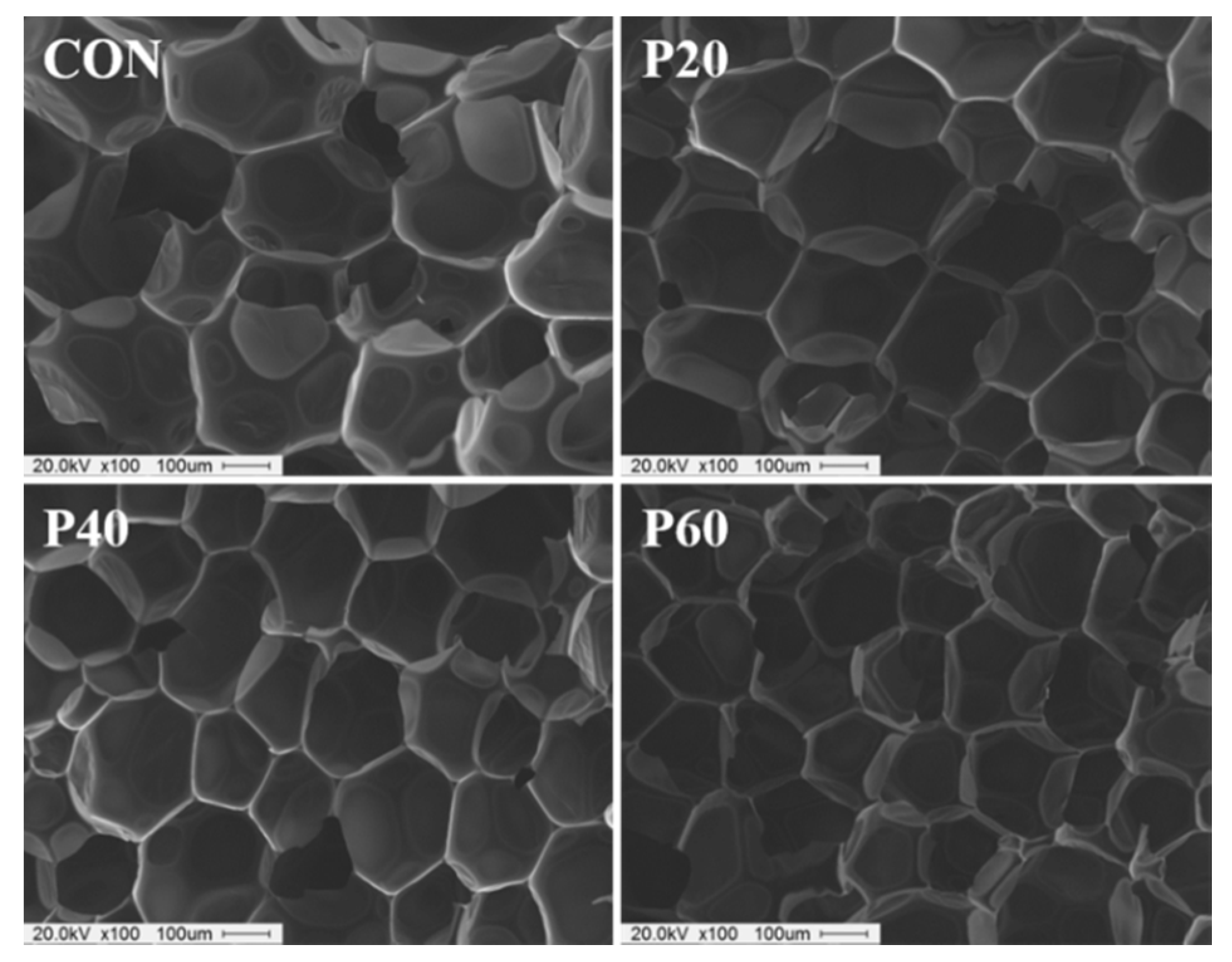 Processes 07 00022 g009