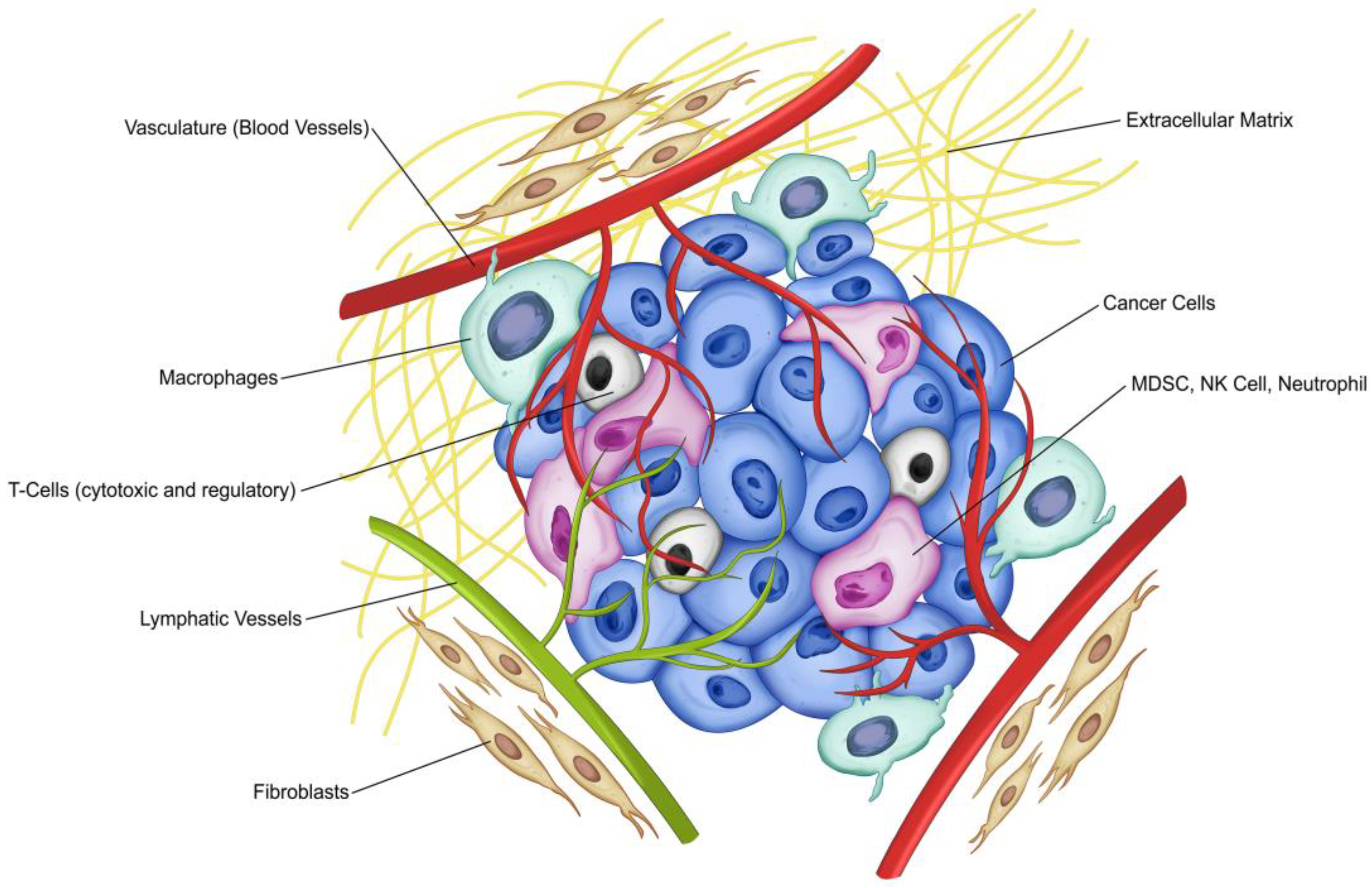 Processes 07 00037 g001